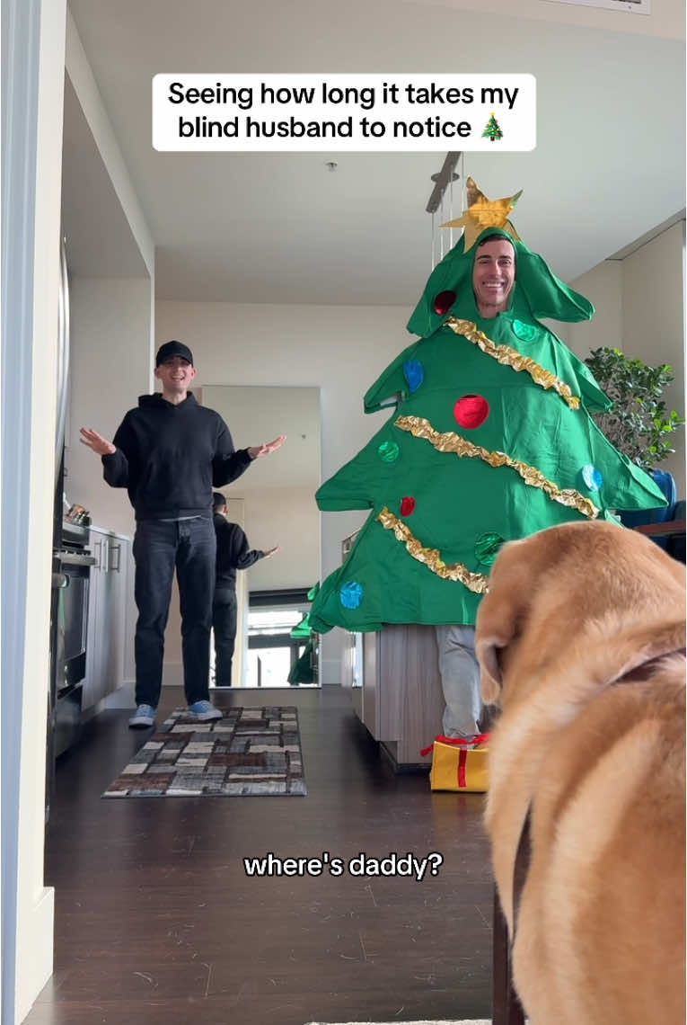 “You said you wanted a Christmas tree” 🤣 #prank #couplesprank 