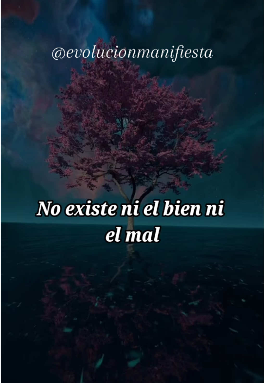 Manifiesta la vida de tus sueños conmigo 💫✨ Te acompaño en el camino 🫶🏻 Con amor, mamá Rosita 👵🏼🌹 #manifestacion #manifestar #afirmacionesydecretos #espiritualidad #espiritualidad #afirmaciones #despertarespiritual #gratitud 