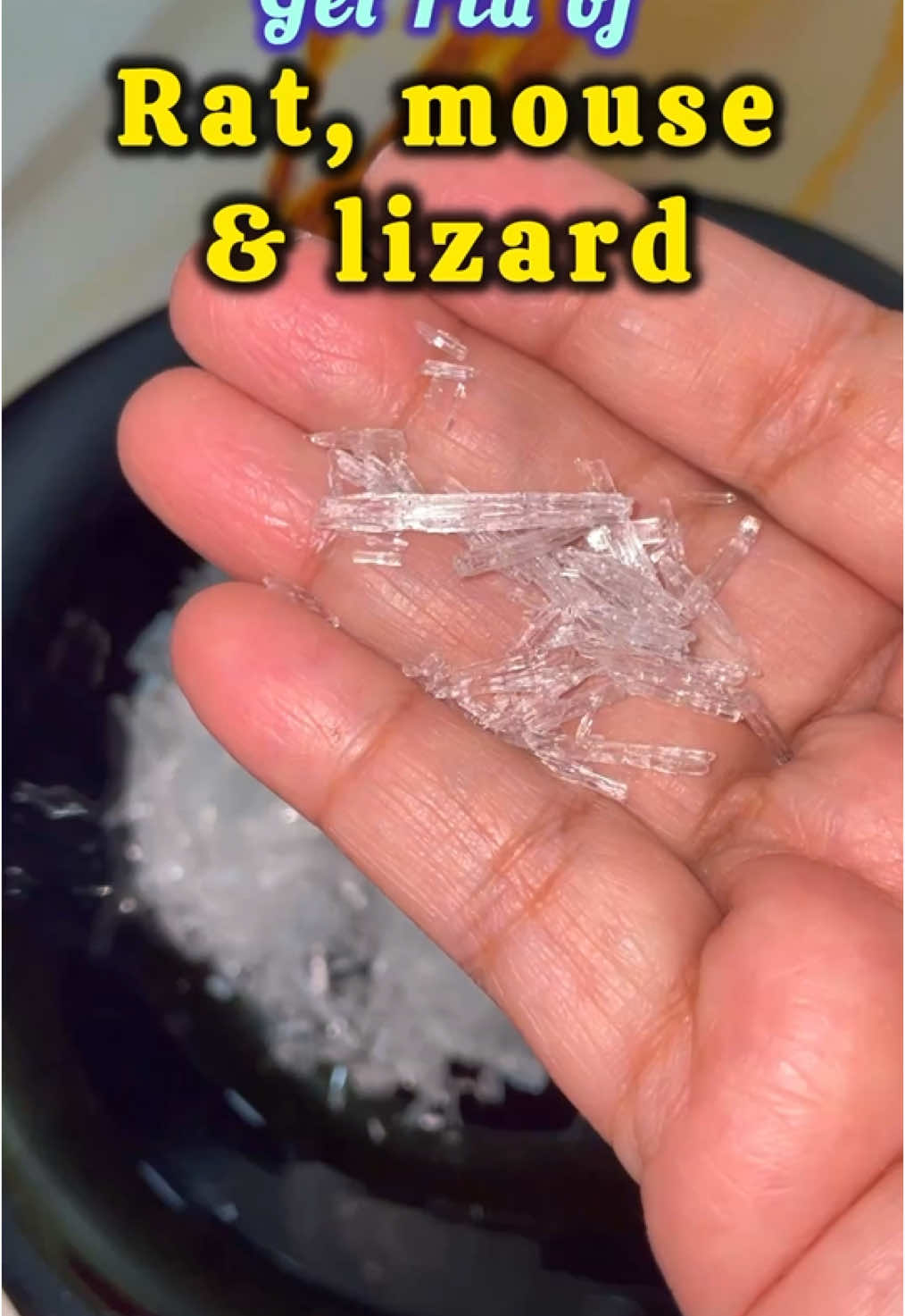 Get rid of Mouse & Lizard  #tiktokpage #foryourpage #viral #tiktok #fyp #remedy 