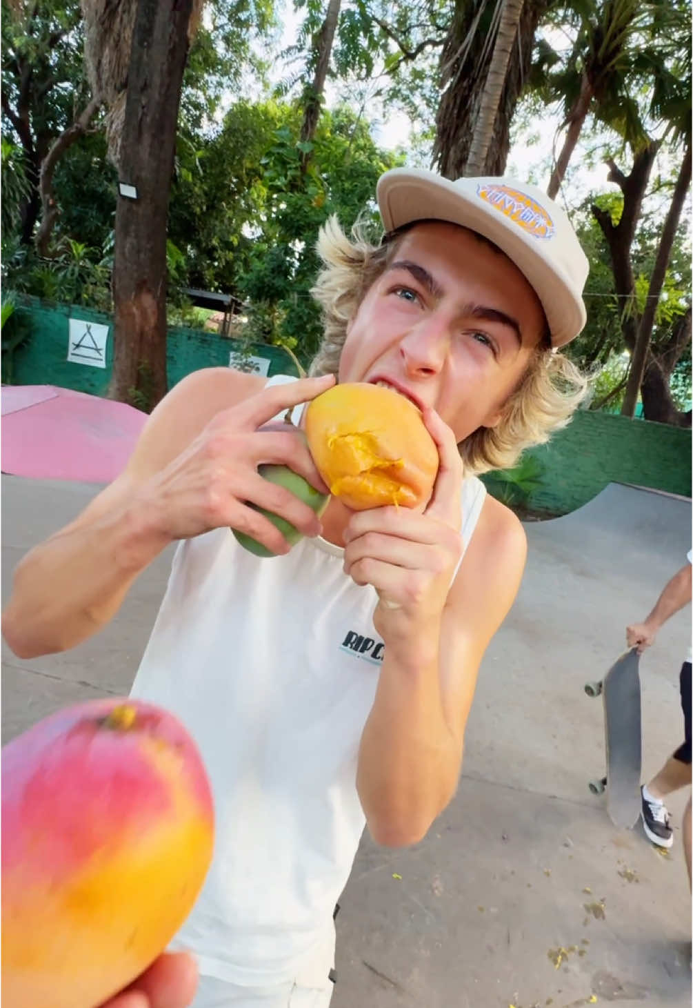 its MANGO time 🥭🙌🏼🛹 #beesteez #skatelive #mangos 