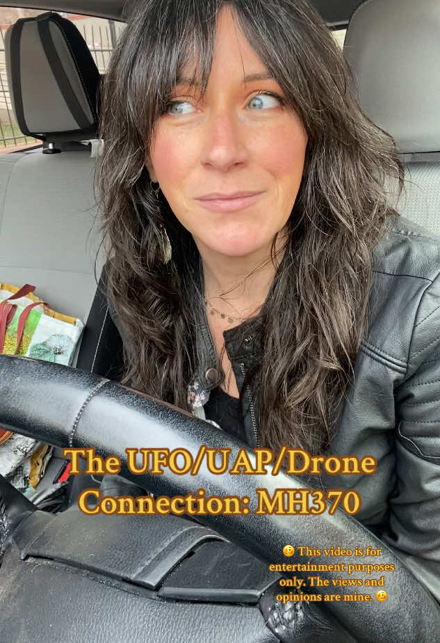 So, in this MOVIE that I’m writing, I wanted to add a side-story that will help the overall plot make more sense. Tell me what you think about this sub-plot! 😏 #wildmother #ufo #uap #drones #mh370 #newfilm  #collectiveconsciousness 