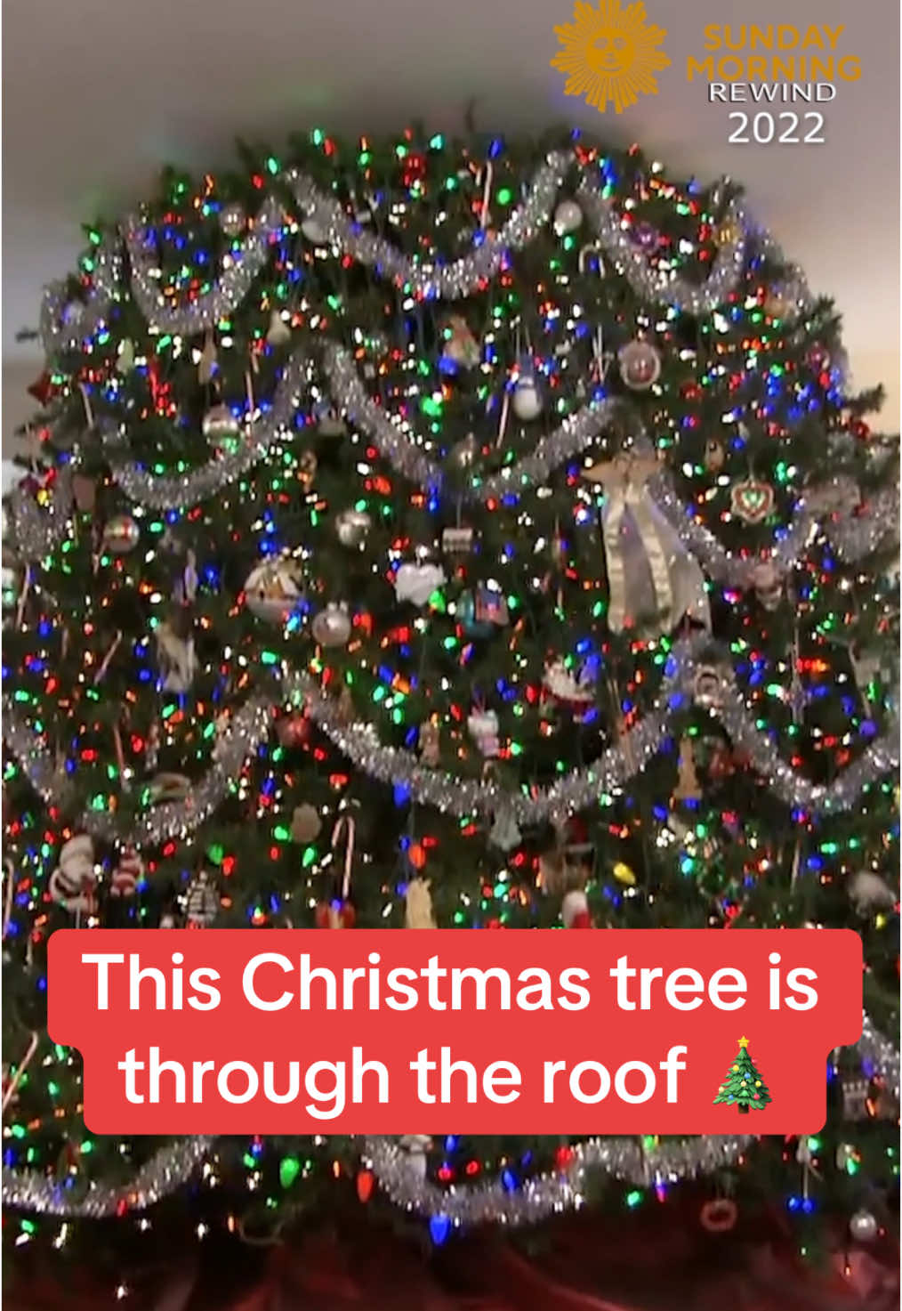 For more than three decades Mike and Mary Noonan have marked the holiday with a Christmas tree like no other: one that appears to extend two stories and pierce the roof of their Lincolnwood, Illinois, home.  #holiday #christmas #tree 