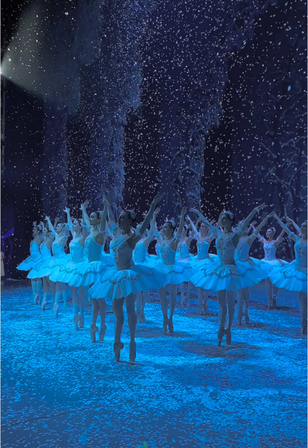 Snowflakes of the Hungarian National Ballet! What a beautiful corps work!❄️ Wayne Eagling – Tamás Solymosi / Pyotr Ilyich Tchaikovsky: THE NUTCRACKER #operabudapest #hungarianstateopera #hungarianoperahouse #hungariannationalballet  #ballet #ballerinasoftiktok #ballerina #balletdancer #balletclass #balletvideo #balletvideos #balletcore #diótörő #nutcracker #itstime #christmas #balletok #fyp #viral #makeballetfamous #partner #dance #pointshoes #balletpost #karácsony #worldwideballet #ballerinaonpointes #whattodoinbudapest 