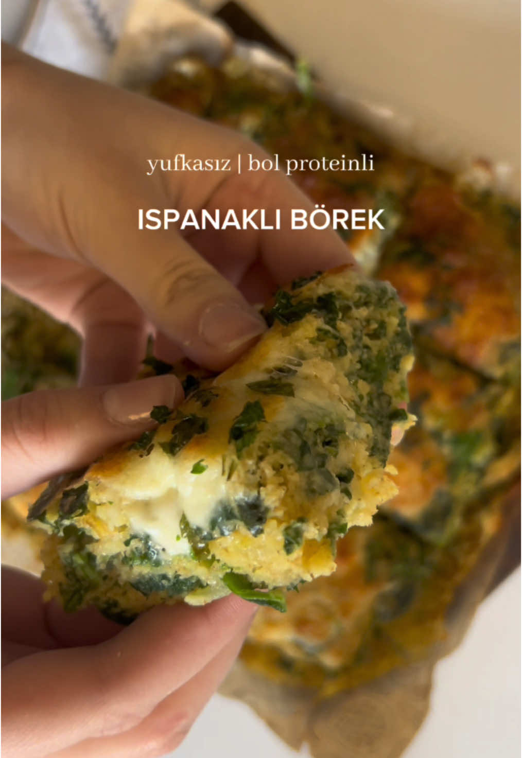 Boll proteinli bir ıspanaklı börek yapıyoruz, hem de yufka kullanmadan🤩 #sağlıklıbeslenme #zayıflamakisteyenler #fittarifler #onlinediyet #healthyrecipes #taşımalıktarifler #sağlıklıyaşam #fypp #fouryou #girlssupportgirls 