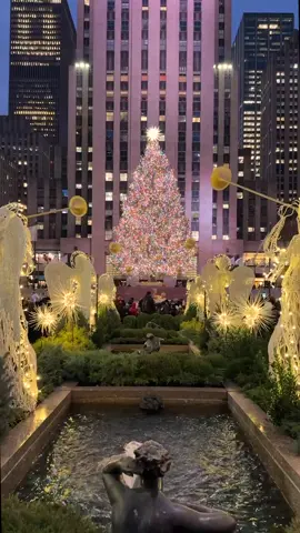 Did you know the same Christmas Angels in the Channel Gardens have been installed at Rockefeller Center every Christmas since 1955? The twelve Angels are our only semi-permanent public art display, brought out only during the holiday season. When they’re not serenading our Christmas Tree, they’re stored in a climate-controlled warehouse and hand-maintained by our decorators. Have you seen the Angels in person yet? #christmasinnewyork #rockefellercenter 