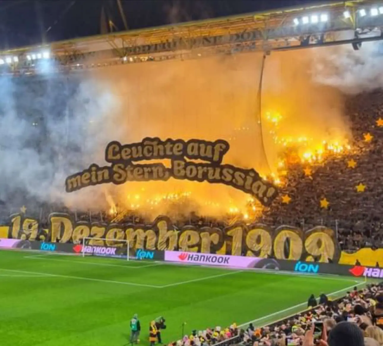 #115jahre #bvb #🇩🇪 #viral #fürimmer #signalidunapark 