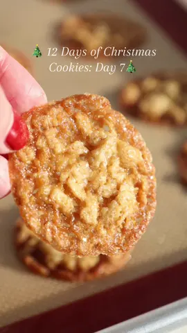 Day 7 of my 12 Days of Christmas Cookies: My Oatmeal Lace Cookies!! These are just as incredible and unique as they look 😋 That perfectly chewy lattice of buttery, caramelized oats with crispy edges is just the best!! I totally get why this was my most popular cookie recipe last year!! The recipe is linked in my bio or you can google chelsweets oatmeal lace cookies #oatmeallace #cookies  