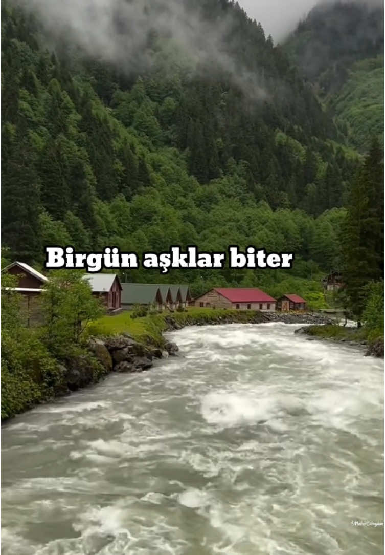 Bir Gün Aşklar Biter 🎶 . . . . . . . . #kesfetteyiz #fypp #birgünaşklarbiter #öykügürman 