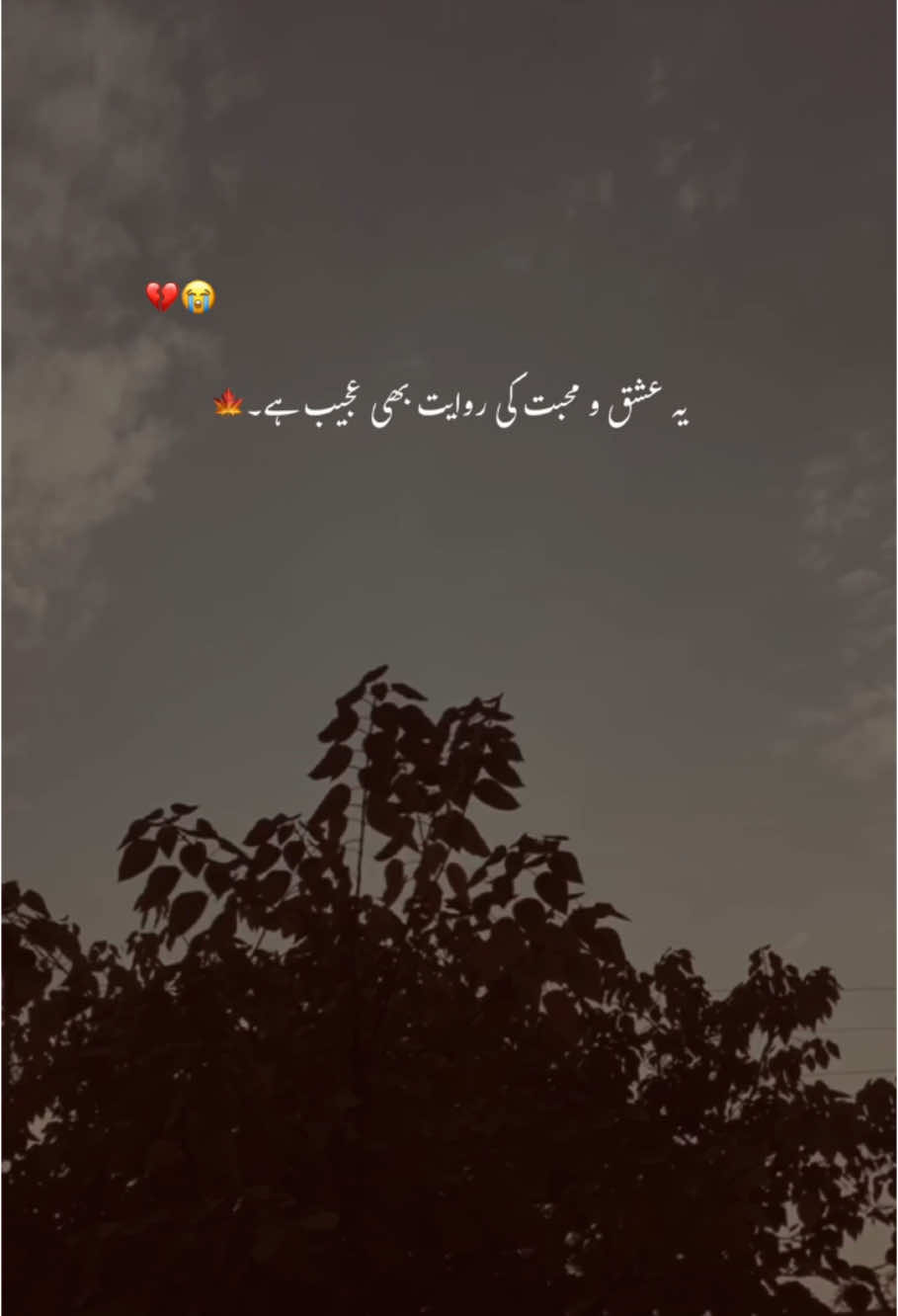 پانا بھی نہیں ہے اور کھونا بھی نہیں۔😭💔 #foryoupage #foryou #trending #aesthetic #account #poetrystatus #grow #hehe_feroz 