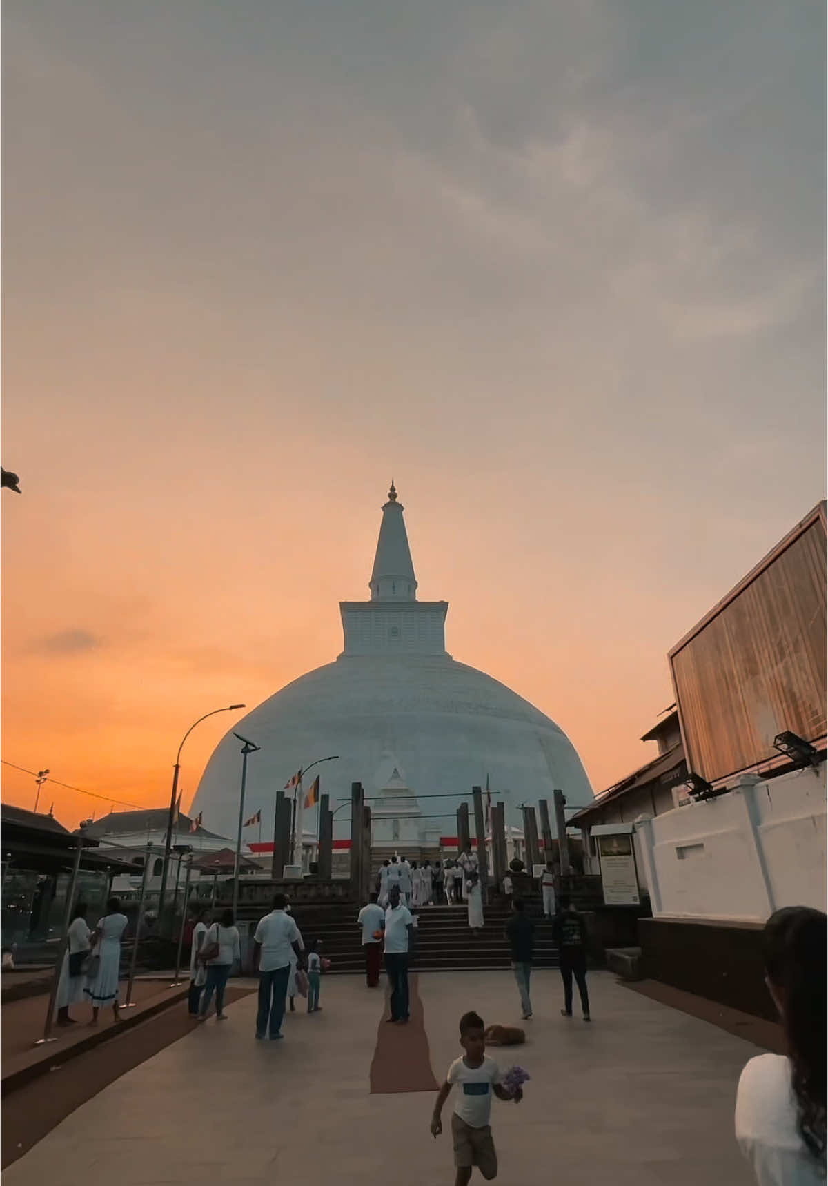 Ever been to Ruwanweli Maha Seya at sunset??? 🥰 Beauty of Sri Lanka 🇱🇰❤️ #foryou #foryourpage #silanka #visitsrilanka #explore #travelbucketlist #exploreoutdoors #natureescape #sunset #sunrise #art #Pride #stupa #ruwanwaliseya #budhism #budhist #drflute #anuradhapura_sri_lanka🇱🇰  