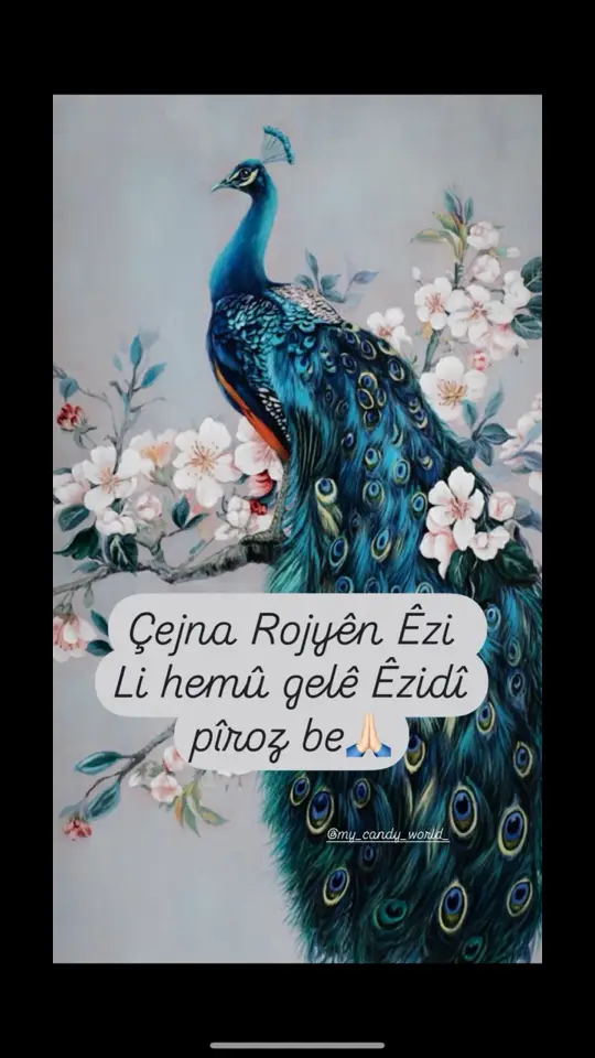 Pirozbe Cejia Rojian 🦚🪔✌🏻 #rojie #ezidi #êzidixan #ايذيدي #يذيدي #كوردستان #kurdistan #kurd #rojava #rojava_rojhlat_bakor_başor #syria #irak #iran #fasten 