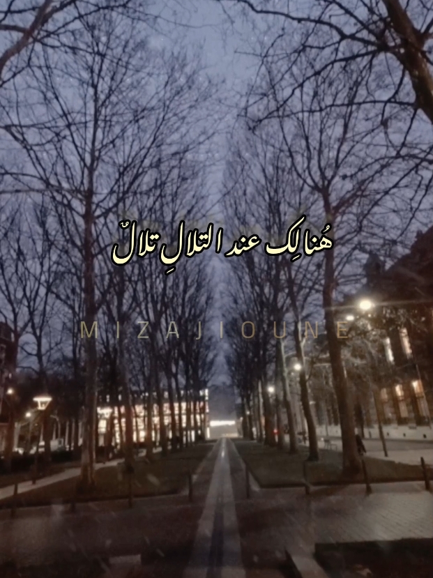 #فيروز #fairouz#فيروزيات #lille #roubaix #noel #france #for_you #hiver #neige #nord 