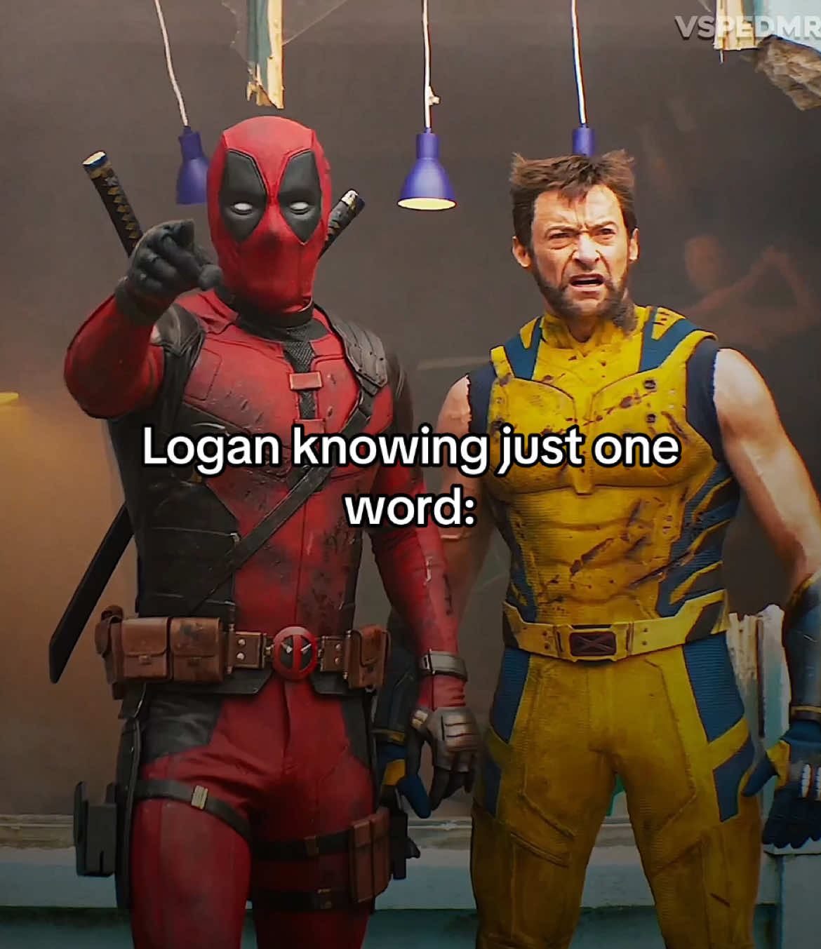 he s my spirit animal😭 #wolverine #deadpoolandwolverine #loganhowlett #hughjackman #deadpool #fyp 