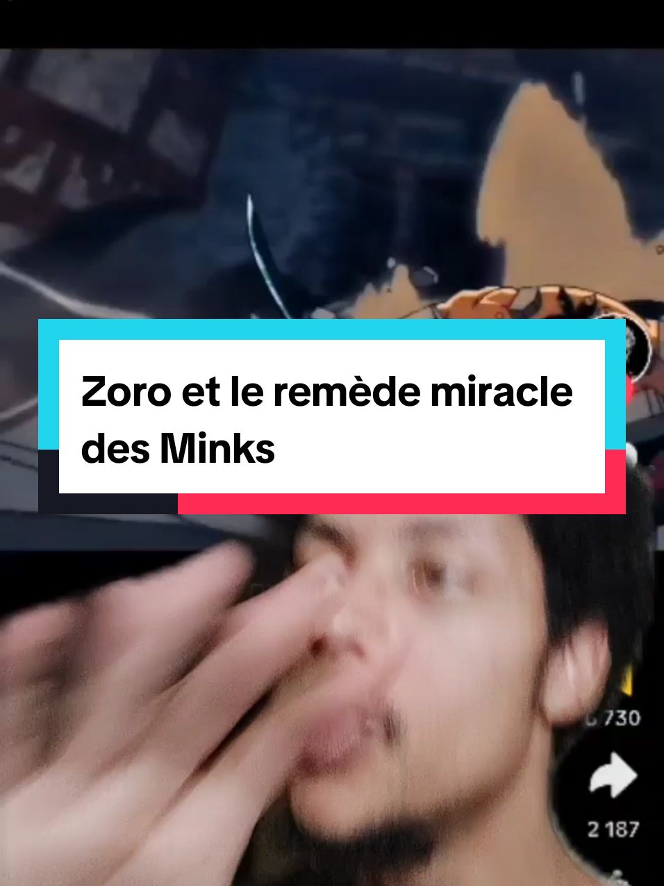 Le medicament magique des minks que Zoro prend à Wano, video fond vert de 