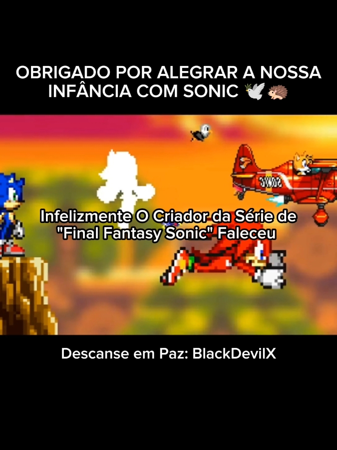 SEU TRABALHO NUNCA SERÁ ESQUECIDO!!! 🕊🦔💙 #finalfantasysonicx #blackdevil #sonicthehedgehog 