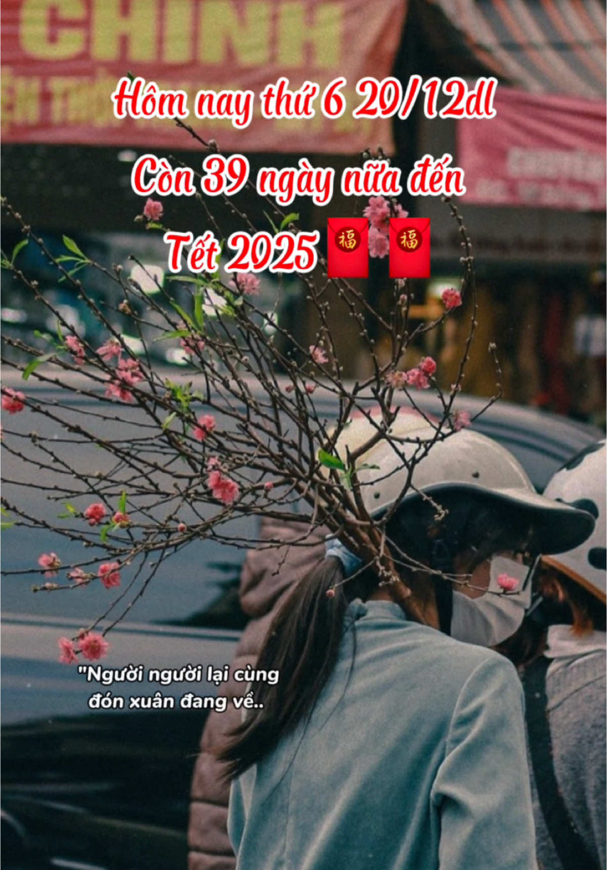 Năm nay có tuyệt vời không mn. Còn 39 ngày thôi #tet2025