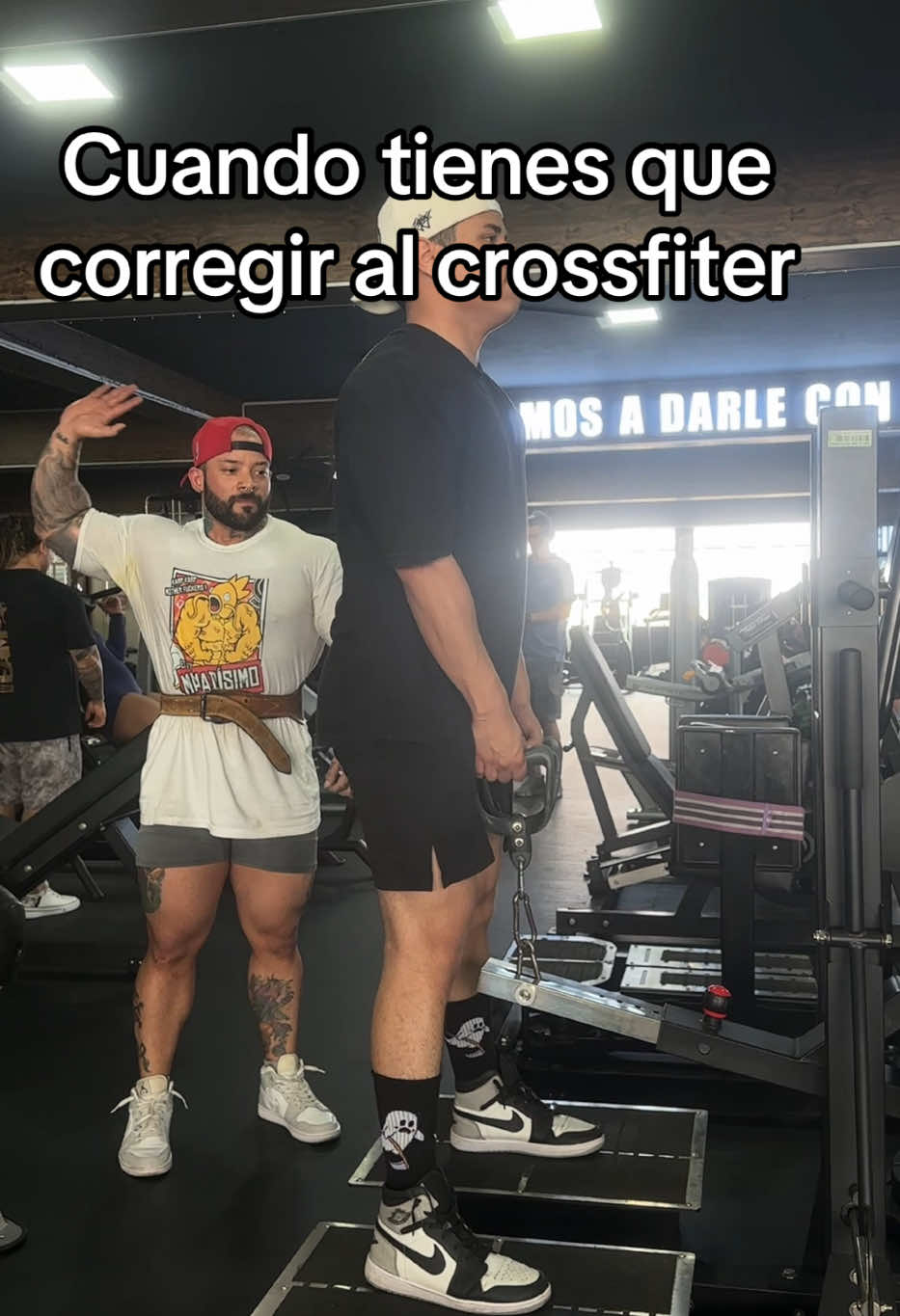 👀 #humor #fyp #gymbro #gymrat #parati 