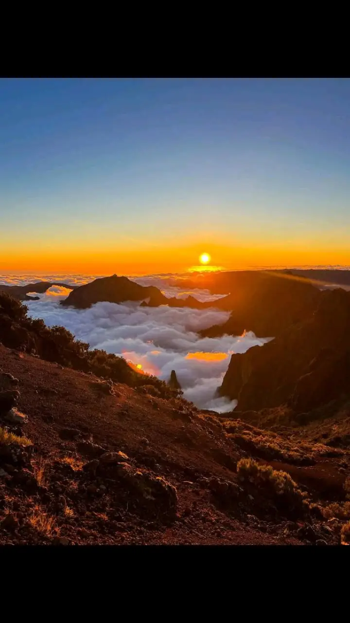 #madeira 