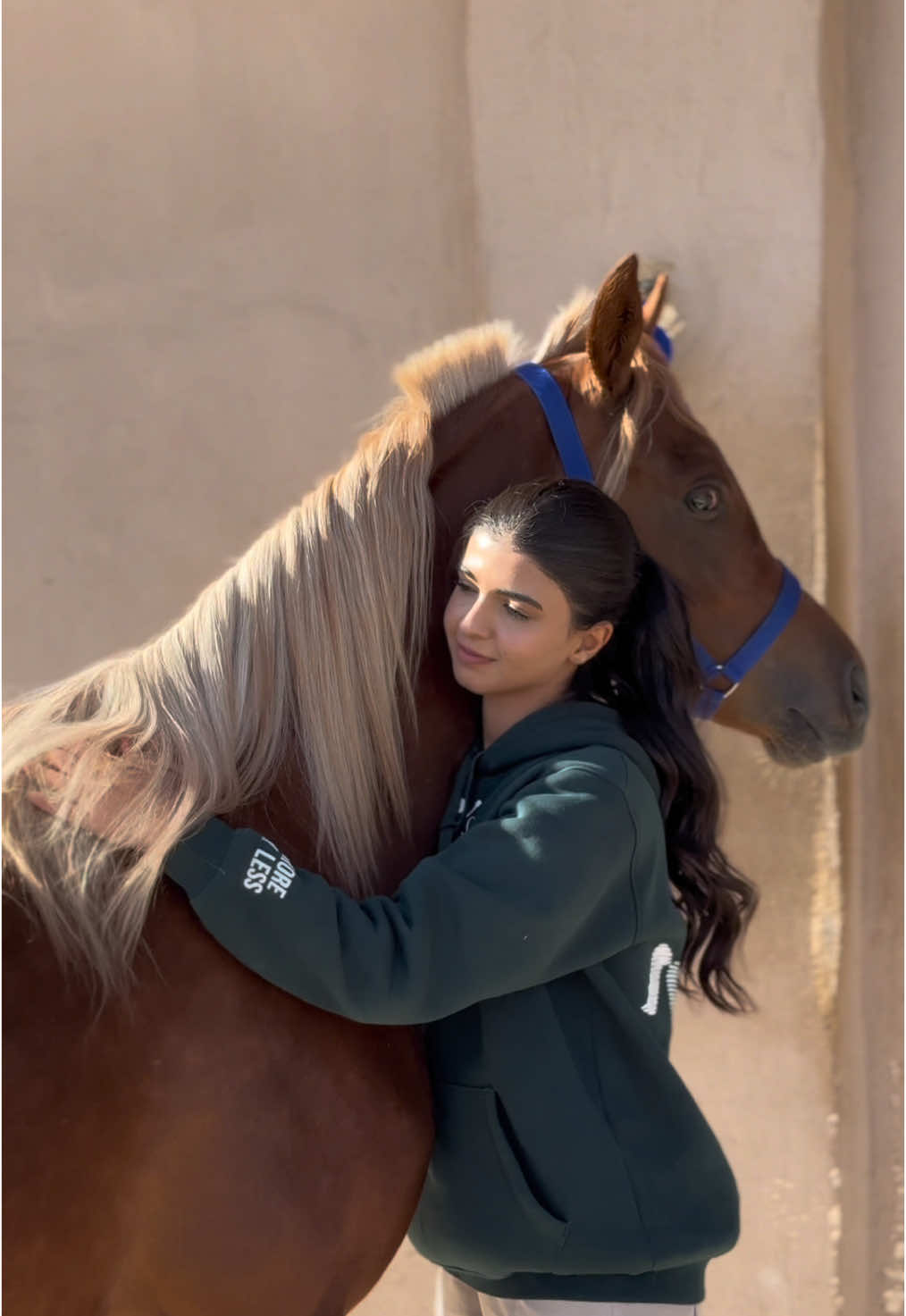 🐎♥️🛁🧽🫧