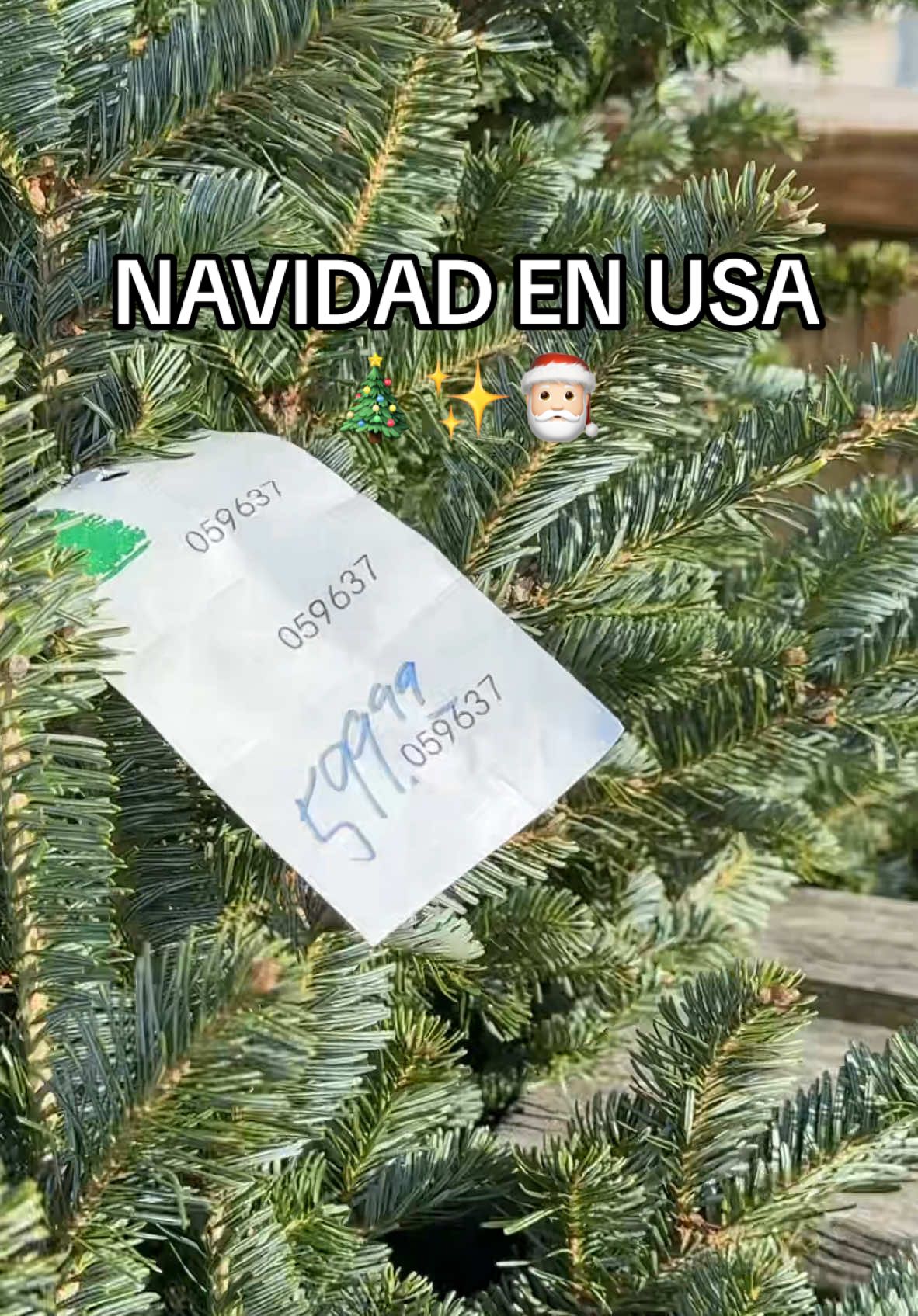 QUIÉN DE ACÁ PAGARÍA $600 POR UN ÁRBOL QUE TIRAS A LA BASURA LA SEMANA QUE VIENE?? 🤦🏼‍♀️ Es todo muy hermoso, pero los árboles cortados son algo que no puedo entender 🥲  #xmas #christmas #navidad #christmastrees #christmastreefarm #arboldenavidad 