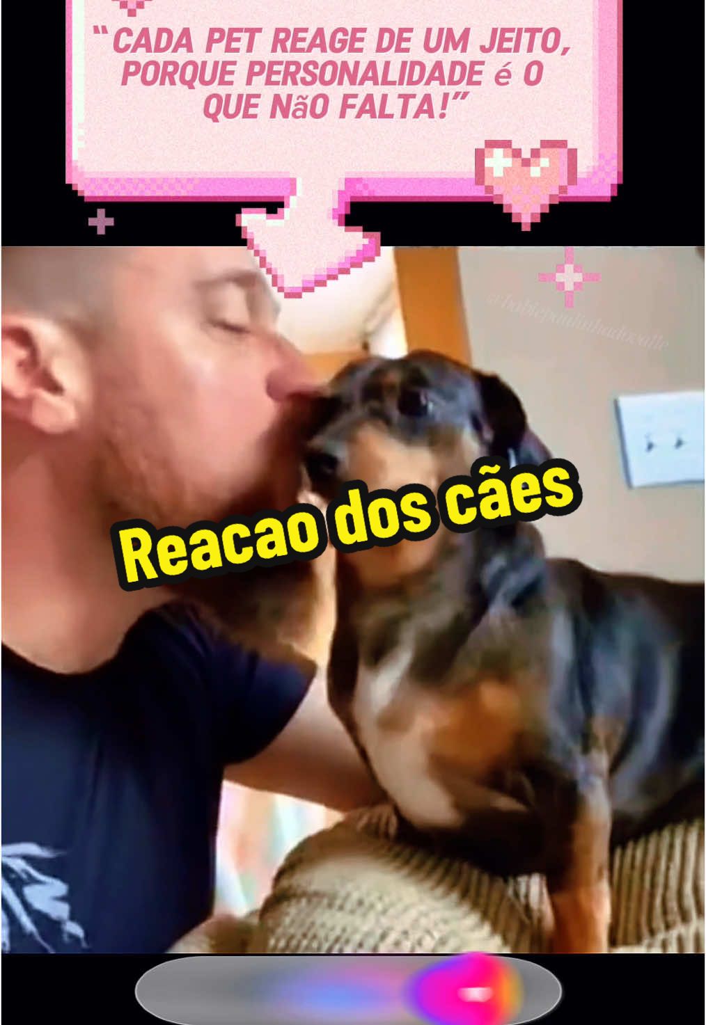 Reacao dos cães trend #maedepet #cachorro #caes #cachorros 