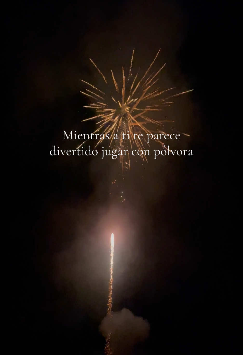 Aunque los juegos artificiales llenan de color las fiestas, para los animales silvestres, como las aves, representan miedo, estrés y desorientación. 🐦💔 El estruendo de la pólvora puede causarles daños irreversibles, afectando su vuelo, su capacidad para encontrar refugio e incluso su supervivencia. 🌍🐾 Estas fiestas, celebremos de manera responsable y pensemos también en quienes comparten el planeta con nosotros💚✨ #sinpolvora #navidad #añonuevo #fiestas #noalosjuegosartificiales #juegosartificiales🎆 #biology #biologia #fauna #respetoanimal #wildlife #viral #naturaleza #wildanimals #conciencia #naturaleza 