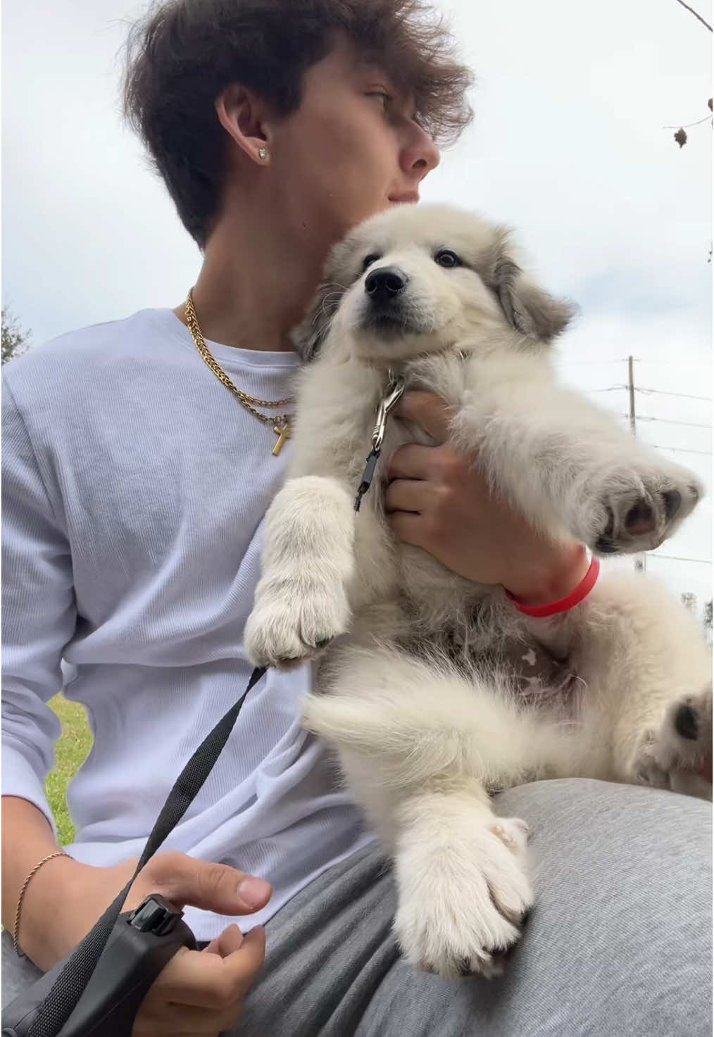 That little smirk at the end #fyp #puppy #greatpyrenees #foryoupage #trending #viralvideo 