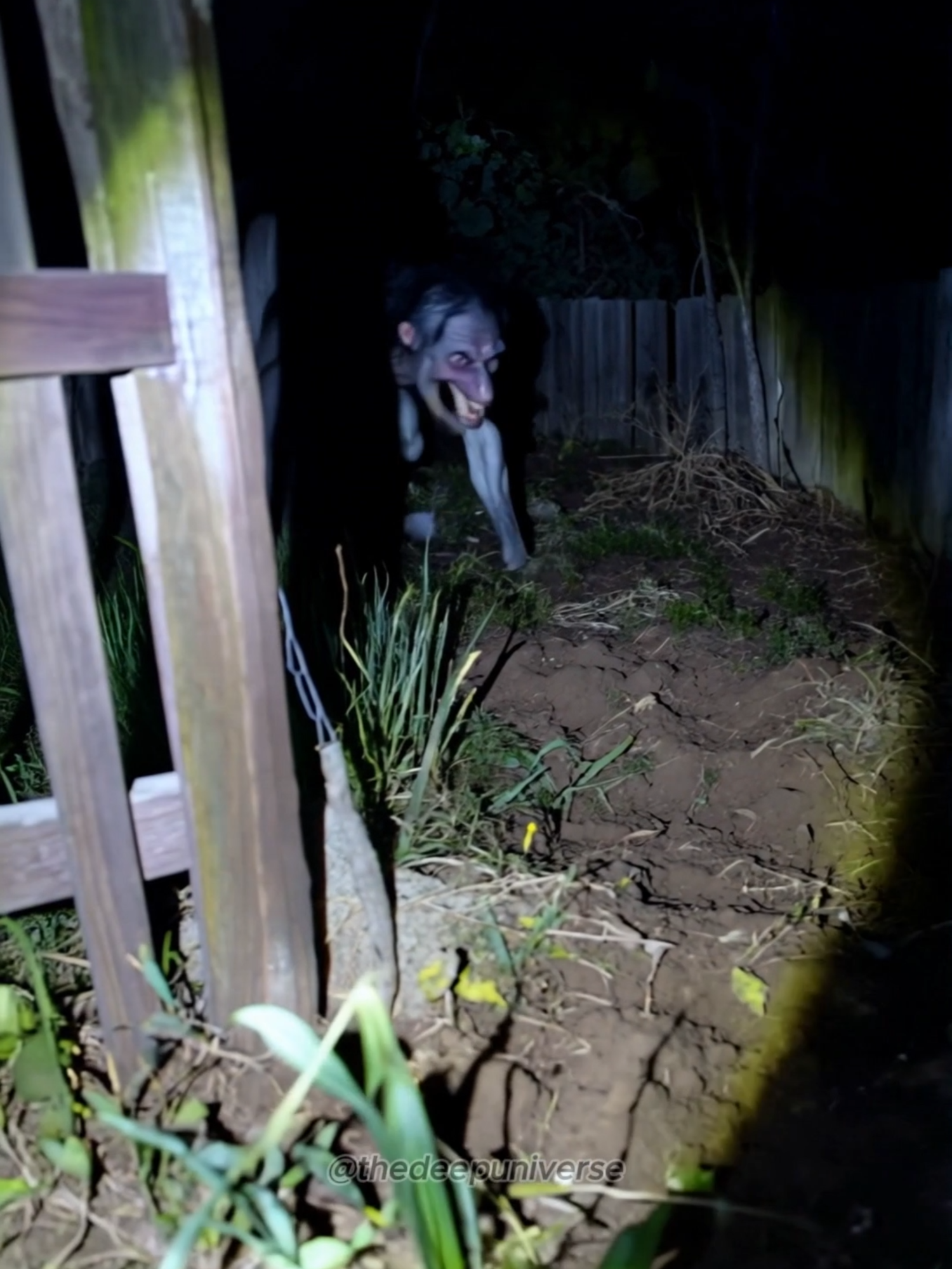 I heard a noise, went outside... Where’s my dog? 🐾🔦 #backyard #creepynight #cryptid #skinwalker