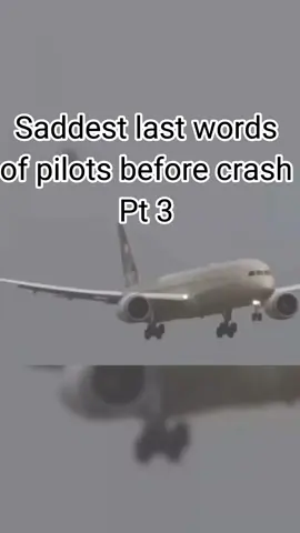 Pt3 Yt davybrandi #pilot #lastwords #foryoupage❤️❤️ #fyppp #fyp 