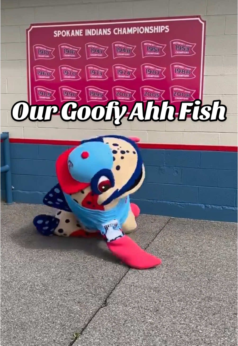 Ribby is certainly one goofy ahh fish. #baseball #mascot #fish #goofyahh 