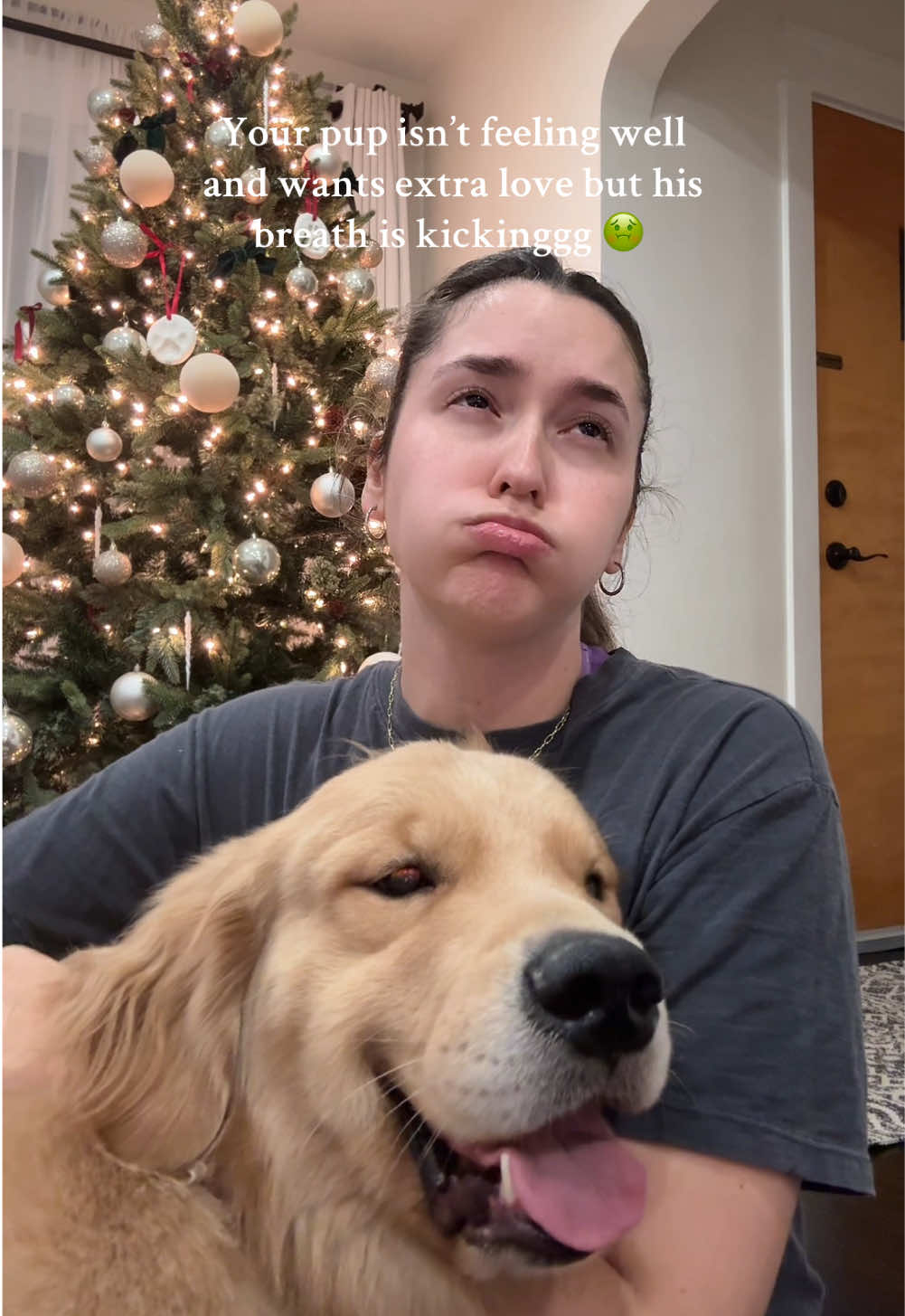 Someone tell me how to get rid of his throwup breath 😭😫 #sick #stomach #throwup #dog #puke #breath #stinky #Love #dogsoftiktok #pets #PetsOfTikTok #clingypet #goldenretriever 