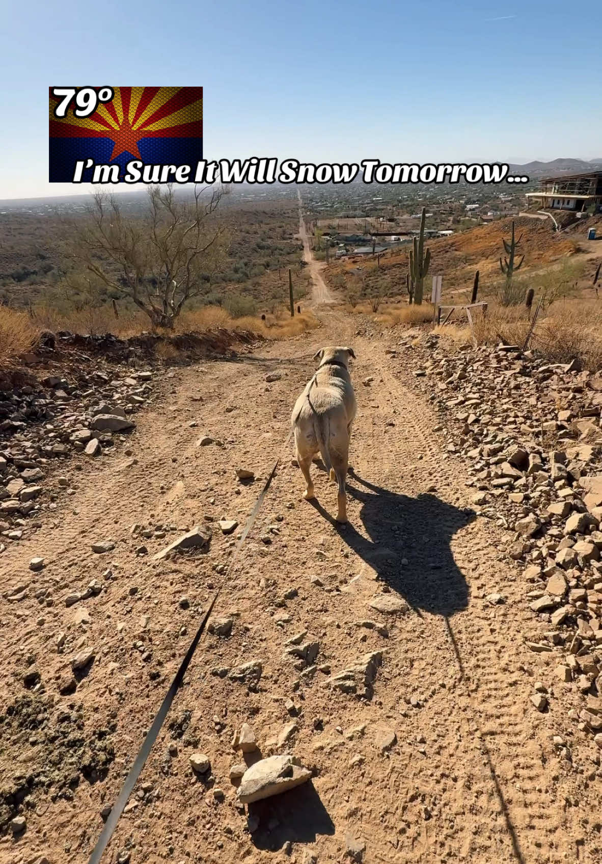 #az #arizona #dogs #dog #Hiking #phoenix #sunshine #phoenixaz #december #sunshine #christmas #phoenixaz #christmasdecor #75andsunny #desert #phx #tistheseason 