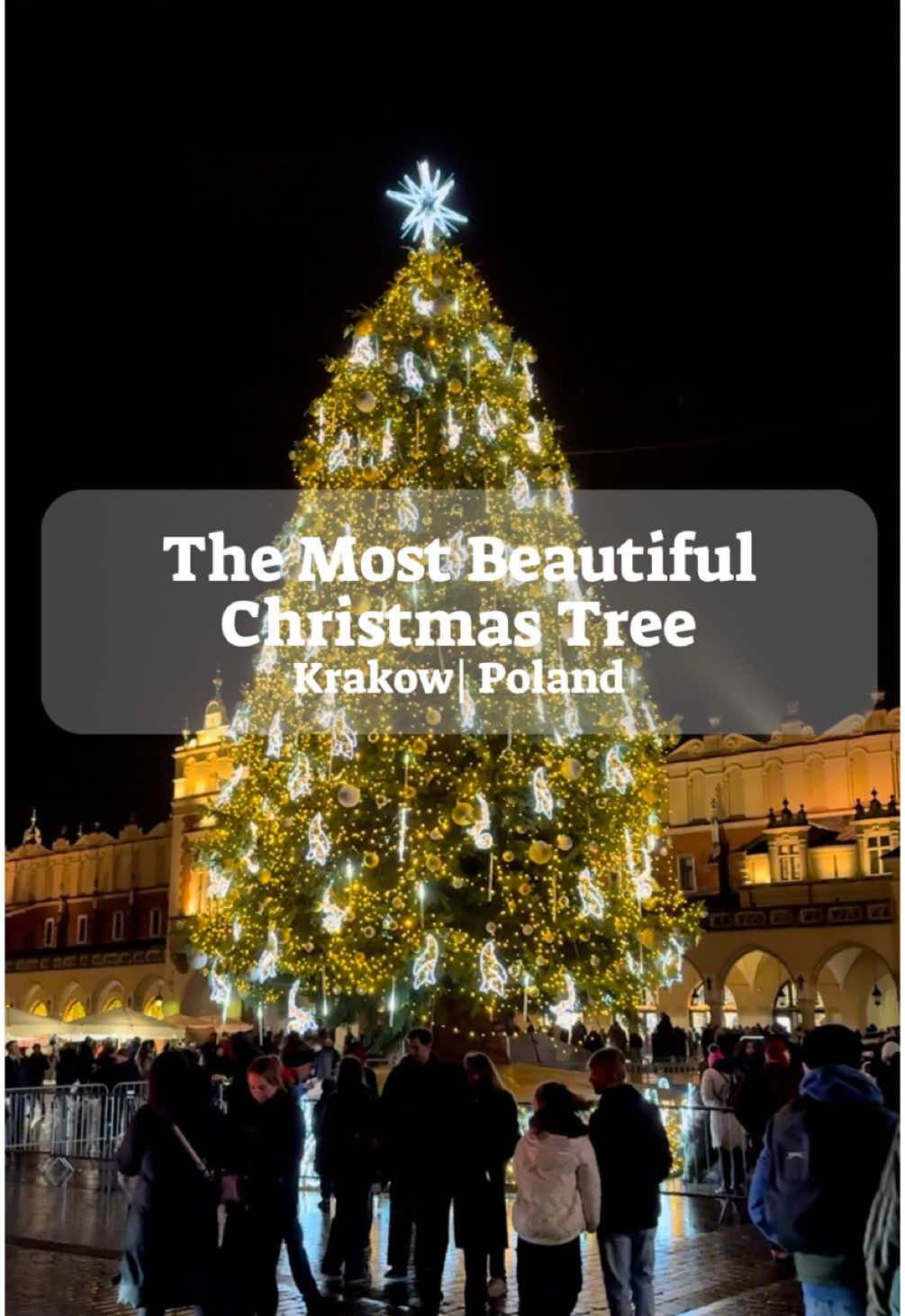 Kraków’s Christmas tree is stealing the spotlight this year! 🎄✨ Time Out crowned it the most beautiful in the world, even beating NYC’s iconic Rockefeller tree!  Do you agree with that? #krakow #poland #polska #christmas #christmasdecor #news #christmastreedecorating #choinka 