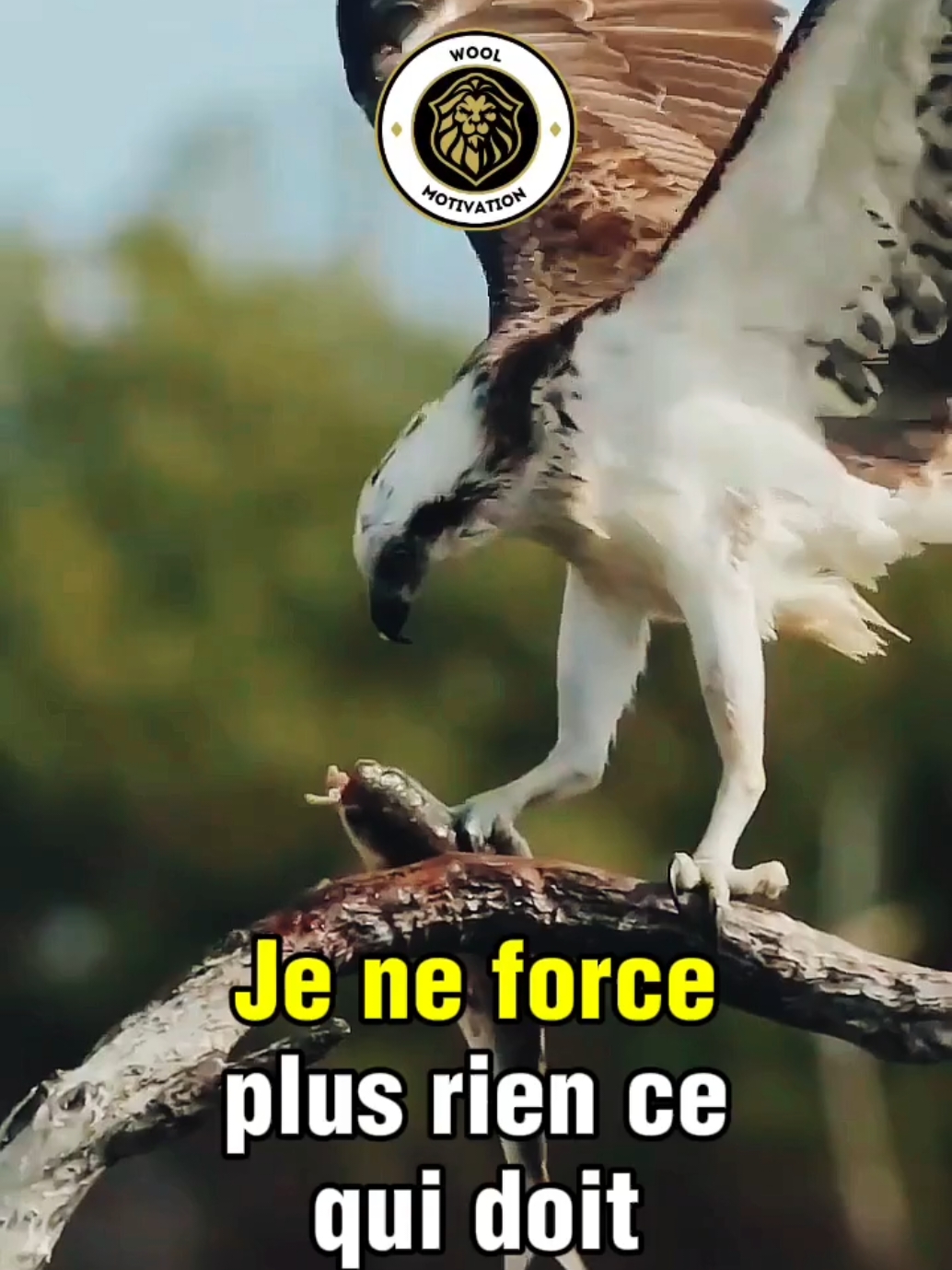 Je ne force plus rien, ce qui doit venir, viendra.. #motivation #france🇫🇷 #france #woolmotivation #conseil #citation #leçon #dicton #consiel #conseiltiktok #motivationconseils #motivationencouragement #motivationdelavie #motivationfrançaise #motivationmentalité #motivationréussite #mindsemotivation #confianceensoi #disciplinemotivation #developpementpersonnel 