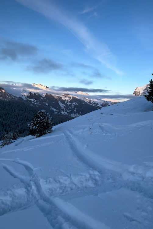 Afternoon powder 🌄 #ski #view #mountain #powder 