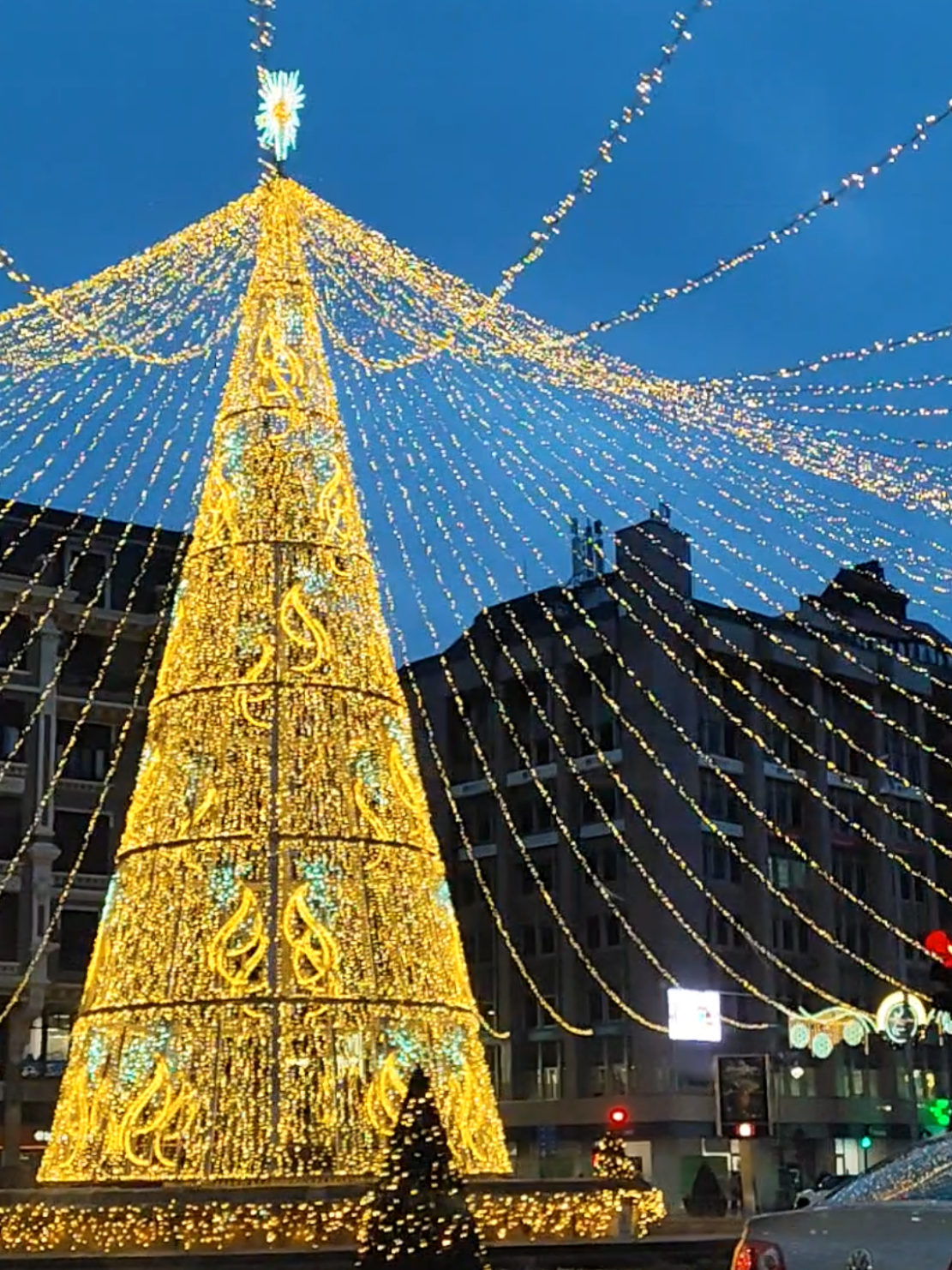 🎄🎄Presta mucho llegar a Santo Domingo y ver el árbol de Navidad🎄🎄 #leonesp #cazurreo #igersleon #igersleonesp #turismo #travel #tourism 