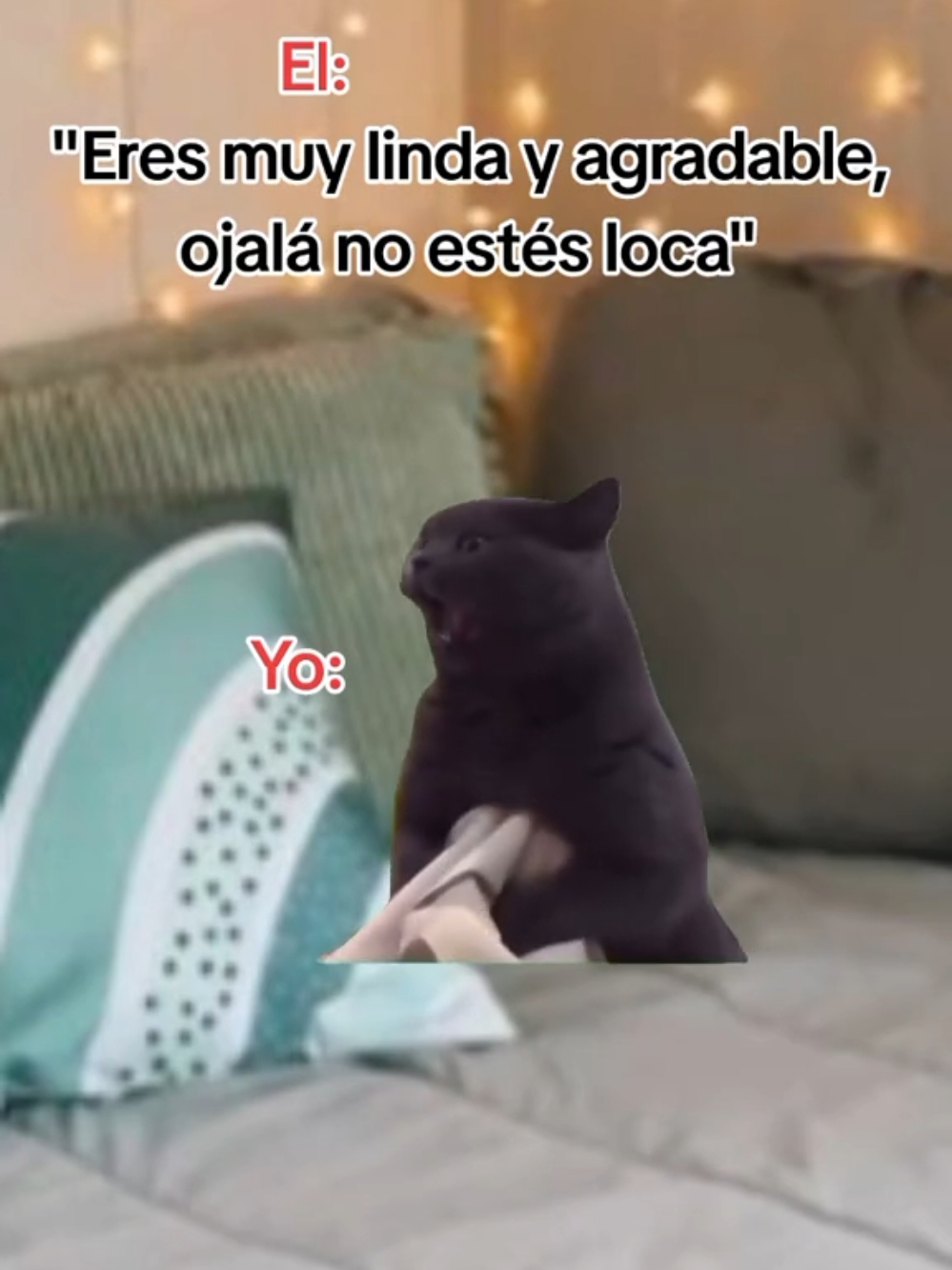 #CapCut #chiste #pyf #novio #novios #paratiiiiiiiiiiiiiiiiiiiiiiiiiiiiiii #viral_video #memestiktok #pareja #loca #risa #risas 