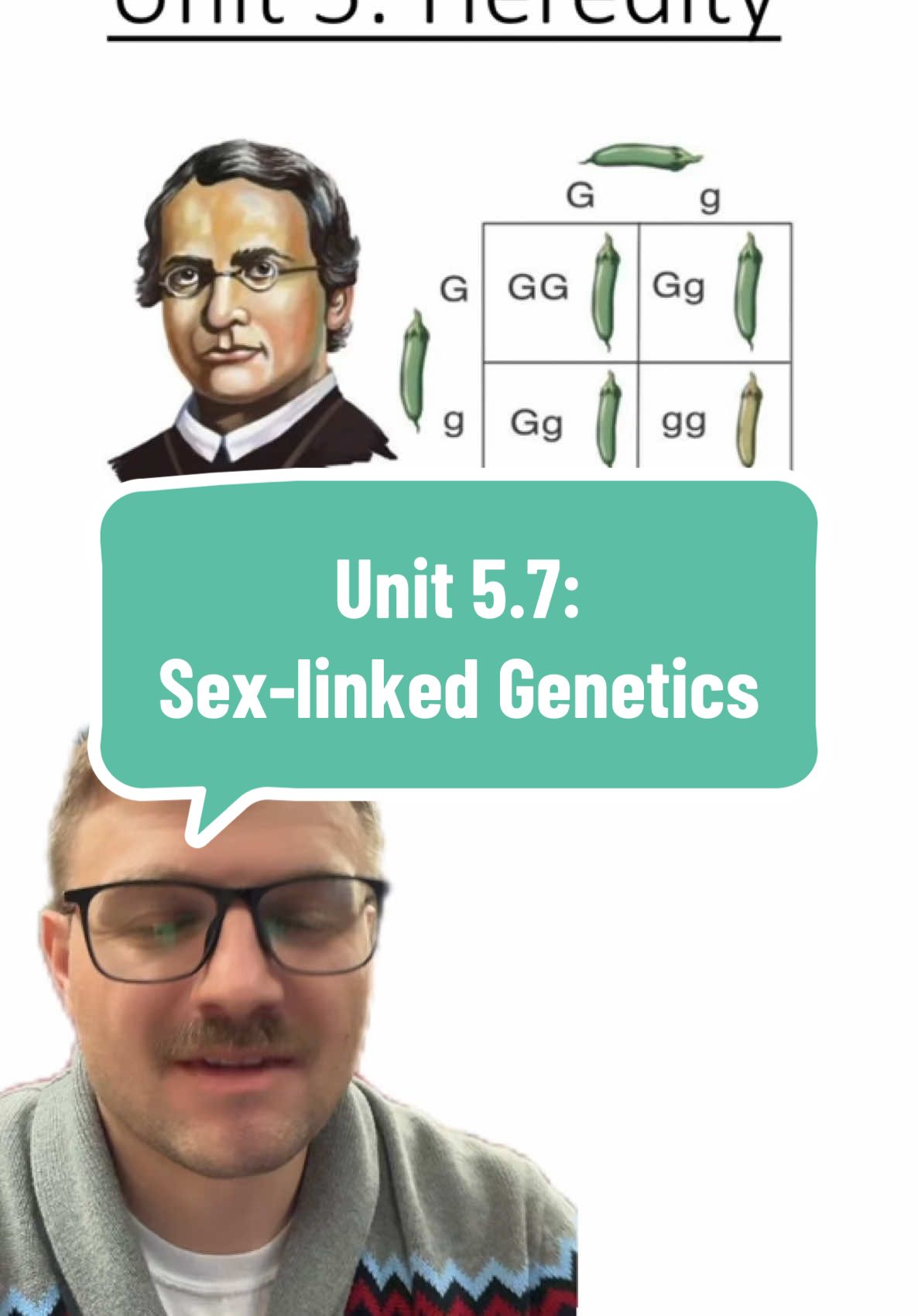 Unit 4.7: Sex-Linked Genetics #biology #apbiology #science #sexlinkedgenetics #apbio #unit5 #punnettsquare #genetics #greenscreen 