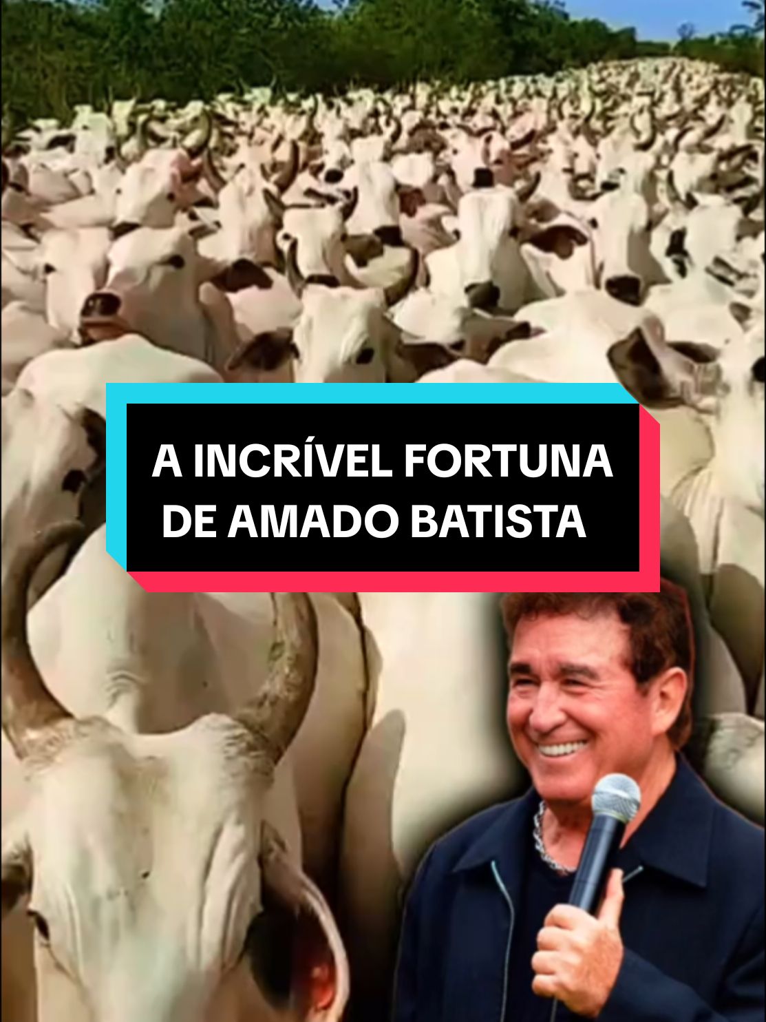 Você vai se ASSUSTAR com a quantidade de DINHEIRO que o Amado Batista tem! . . #amadobatista #fortuna #riqueza #curiosidades 