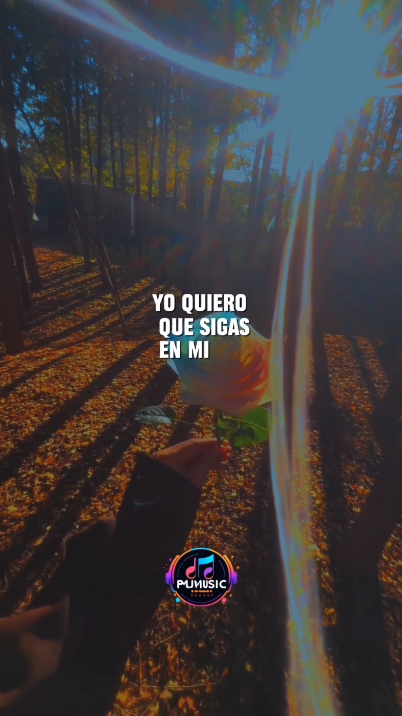 Reik Que gano olvidandote #reik #queganoolvidandote #lyricsvideo #song #letrasdecanciones  #paradedicar #songsad 