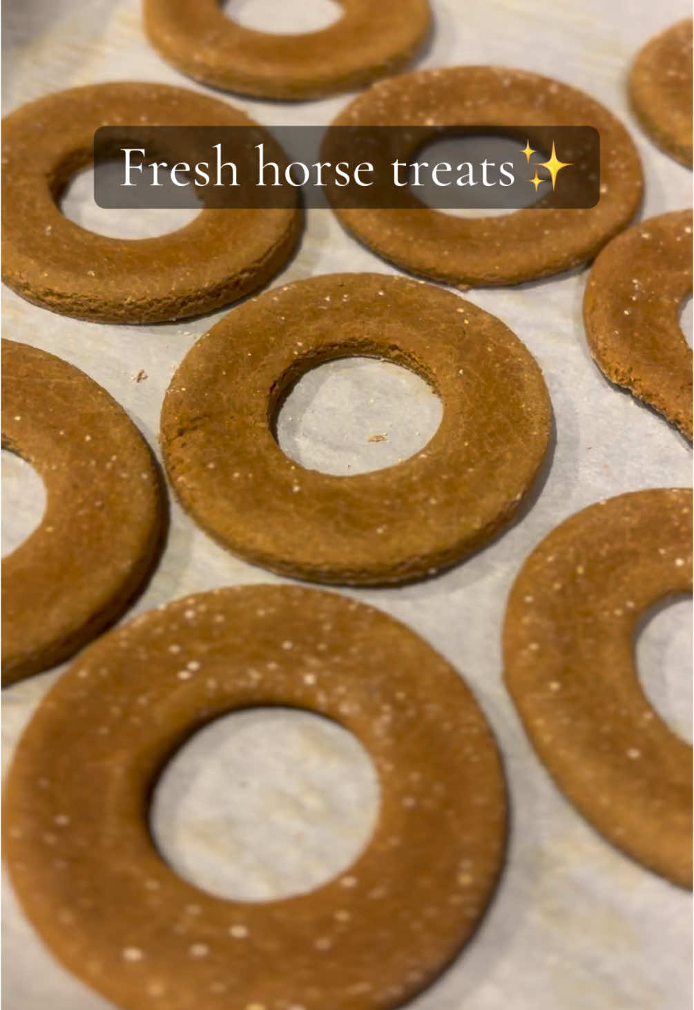 So yummy😋!! Its test kitchen day here at A.M. Equine… Be sure to follow and share for more updates💙 - - #SmallBusiness #small #buisness #buisnesstiktok #horse #horses #horsesoftiktok #equine #equestrian #horsetreats #treats #cookie #baking #simplerecipe #simpleingredients #follow #like #fyp #fypシ 