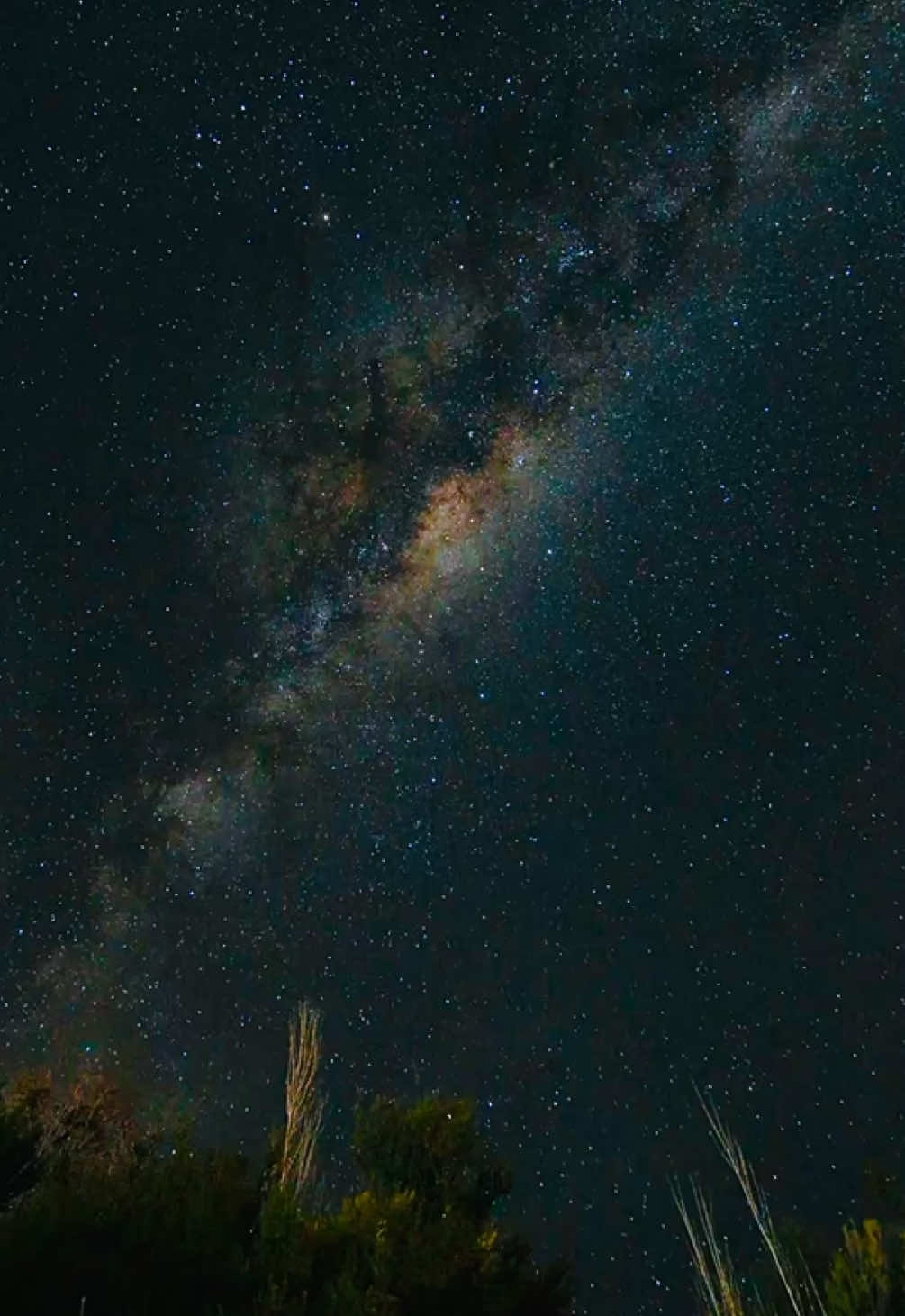 Un cielo estrellado es todo lo que necesito ✨💫#astrophotography  #astrophoto  #fotografianocturna  #cielos #estrellas #milkyway  #astrofotografiachile