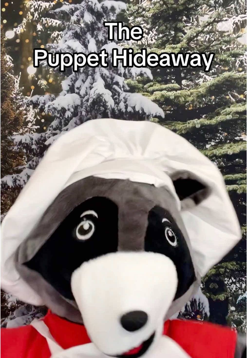 Evergreen Christmas Ep.18 - Santa Mouse invites raccoons to a party - The Puppet Hideaway with Eric Thomsen
 www.ThePuppetHideaway.com
 #thepuppethideaway #evergreenchristmas
