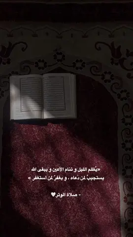 صلاة الوتر خير ختام ليومكم🤍#تذكير #صلاة_الوتر_جنة_القلوب🍃 #اكسبلورexplore #اجر_لي_ولكم_ولوالدينا_وللمسلمين 