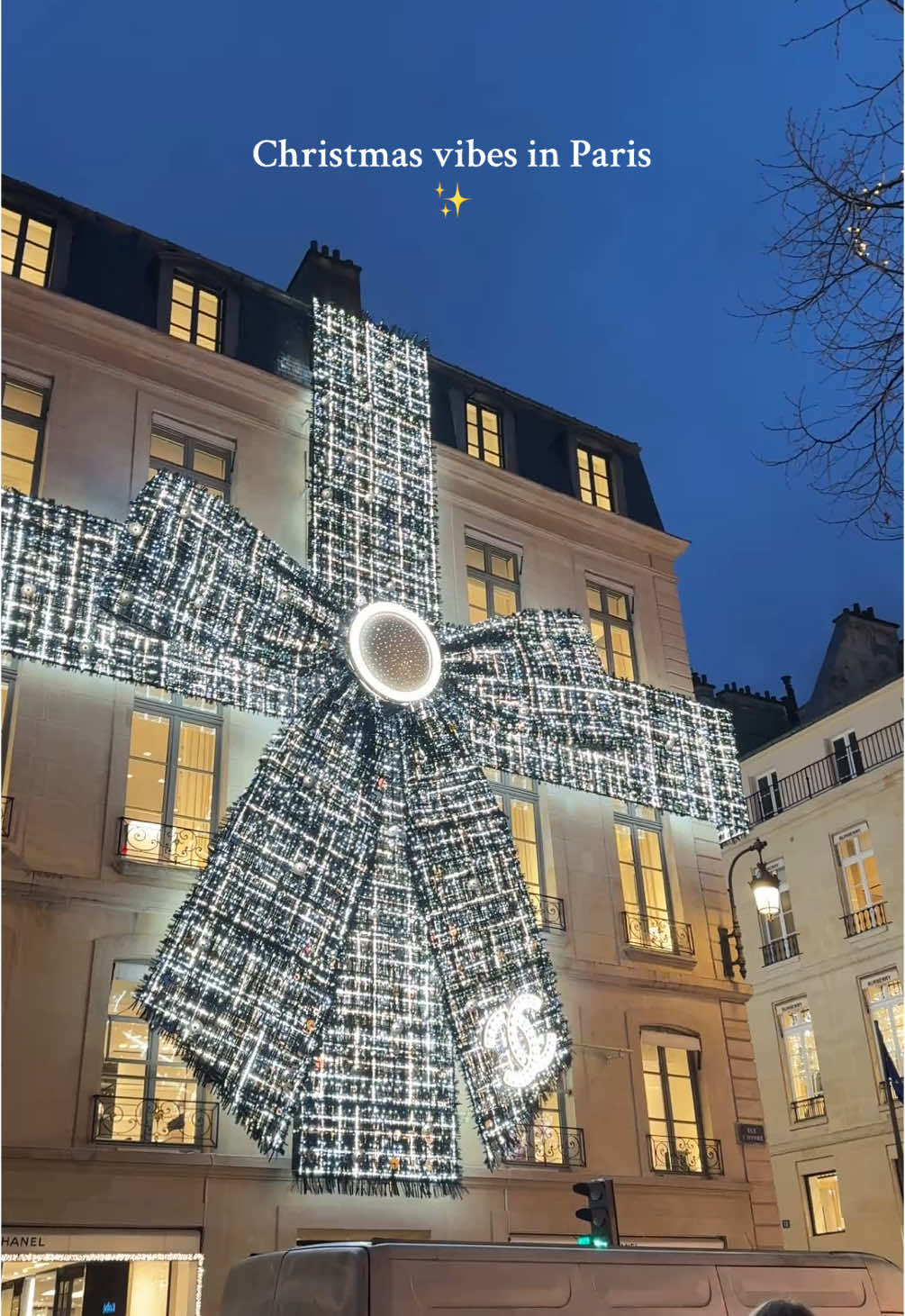 All wow🌟  #chanel #dior #LV #chanelparis #diorparis #lvparis #paris #parisfrance #eiffeltower #christmasparis #christmasinparis #christmaslights #christmas 