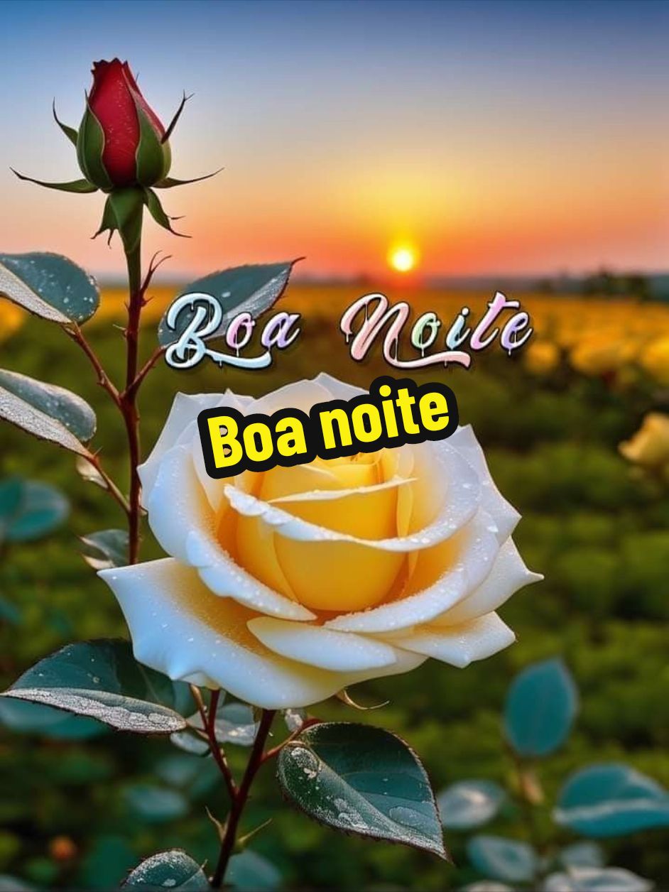 Boa noite.