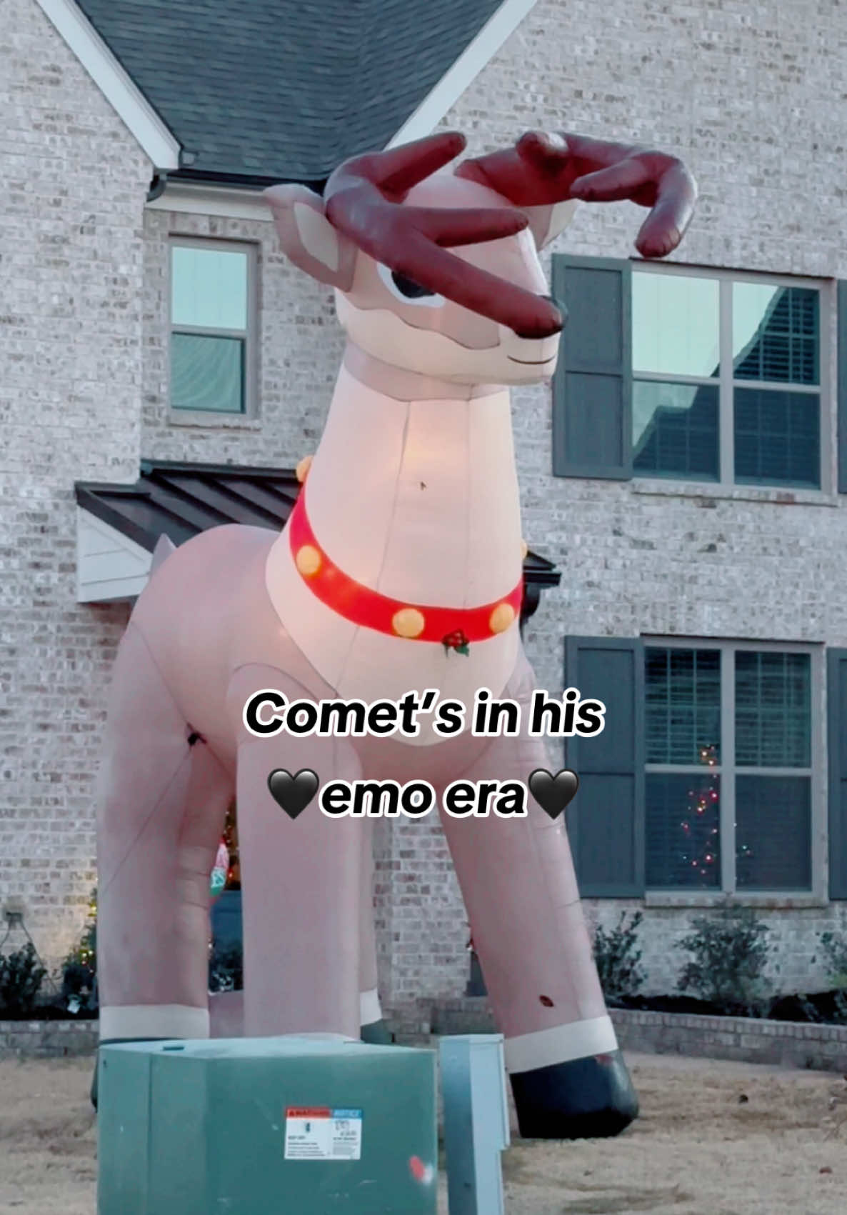 Poor Comet 🤣😂