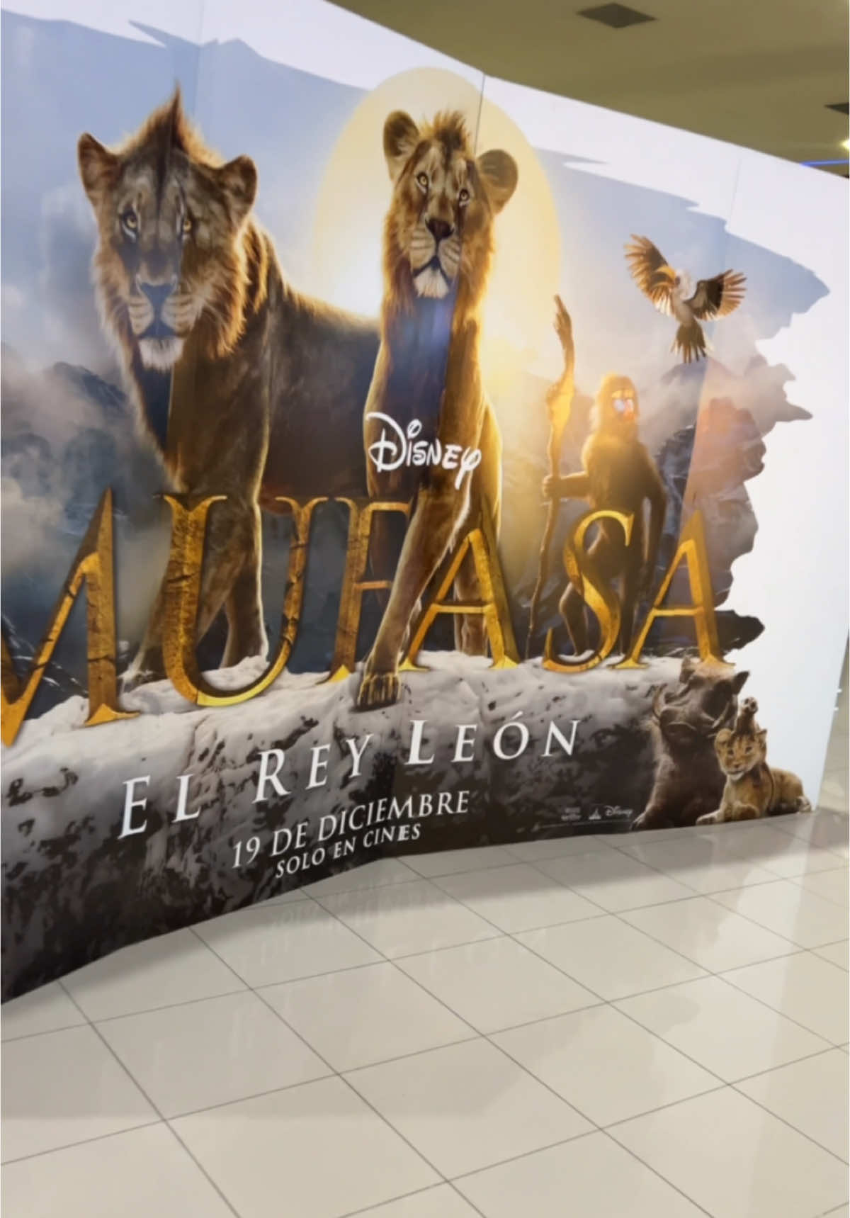 MUFASA #mufasa #reyleon #disney #taka #scar #preestreno 