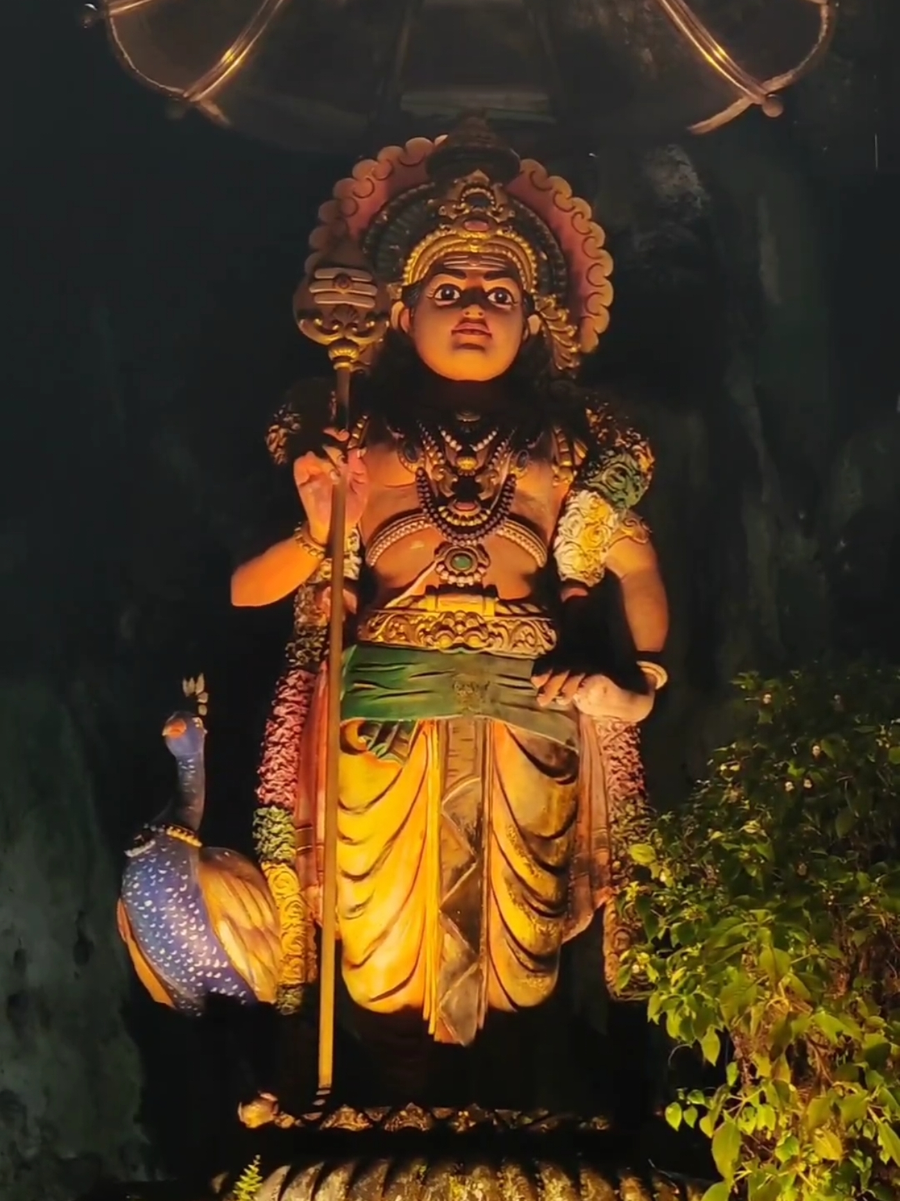 Margazhi Day 5 #murugan #skanda #appanmuruganthunai #shanmuga #shanmuganatha #subramanya #saravanabhava #kandhar #arumuga #vel #mayil #kandhasastikavasam #kandhashasti #maran #batucaves #thanneermalai #penang #hilltop #kallumalai #perak #karthigaideepam #kartigai 