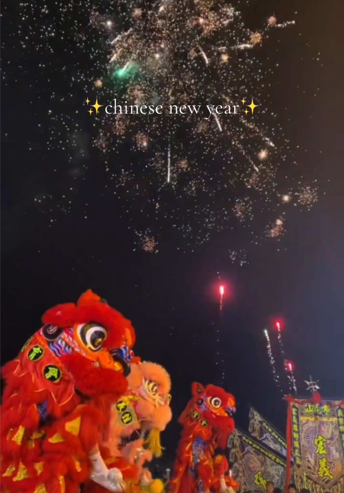 <<< visiting China during Chinese New Year 🇨🇳🧨🎇 • • • #cny #newyear #chinesenewyear #lunarnewyear #china #lunar #newyears #holiday #edit #fastedit #fyp #foryouu 